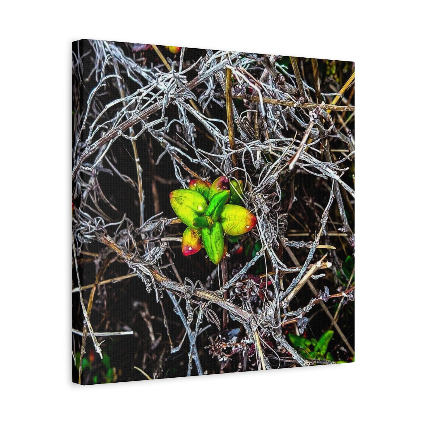 Vibrant Nature Art Canvas, Green Buds Home Decor, Botanical Wall Art, Gift for Plant Lovers, Modern Interior Decor