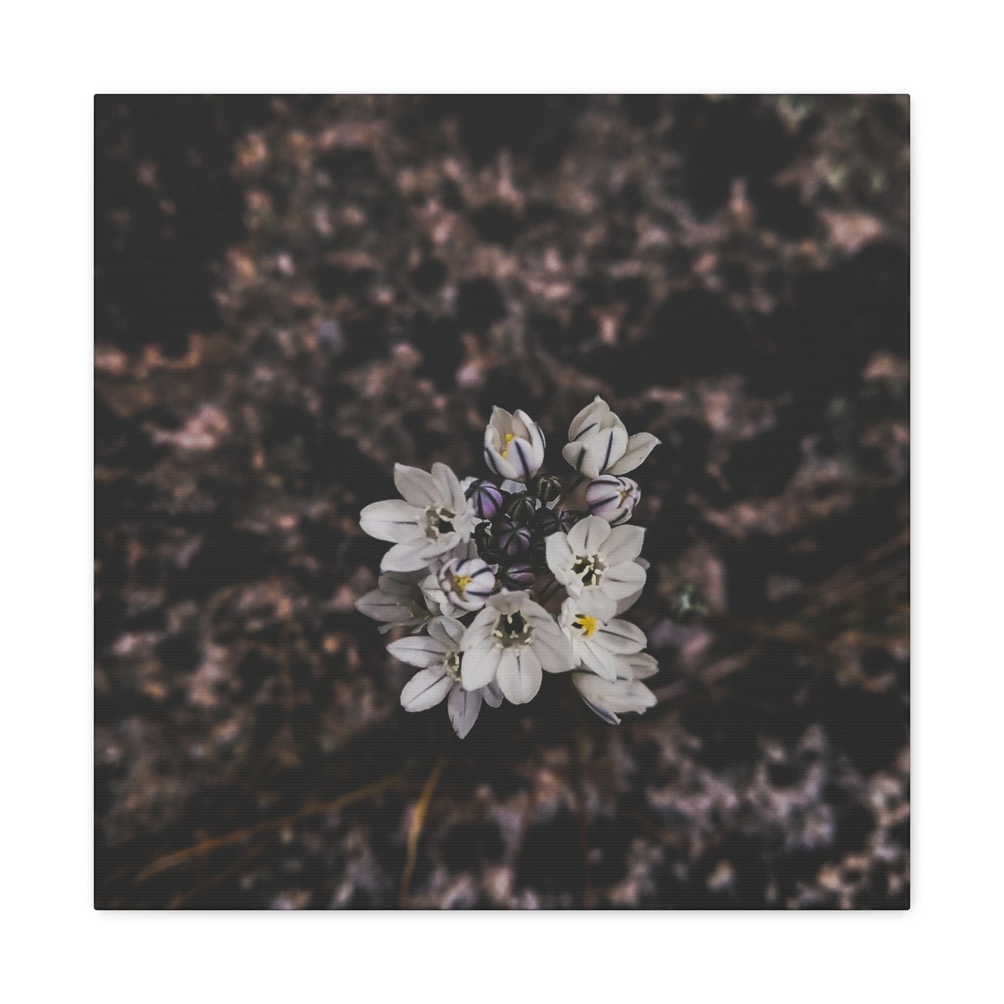 Floral Canvas Print, Wall Art, Boho Home Decor, Perfect Gift for Nature Lovers, Mother's Day, Home Gallery