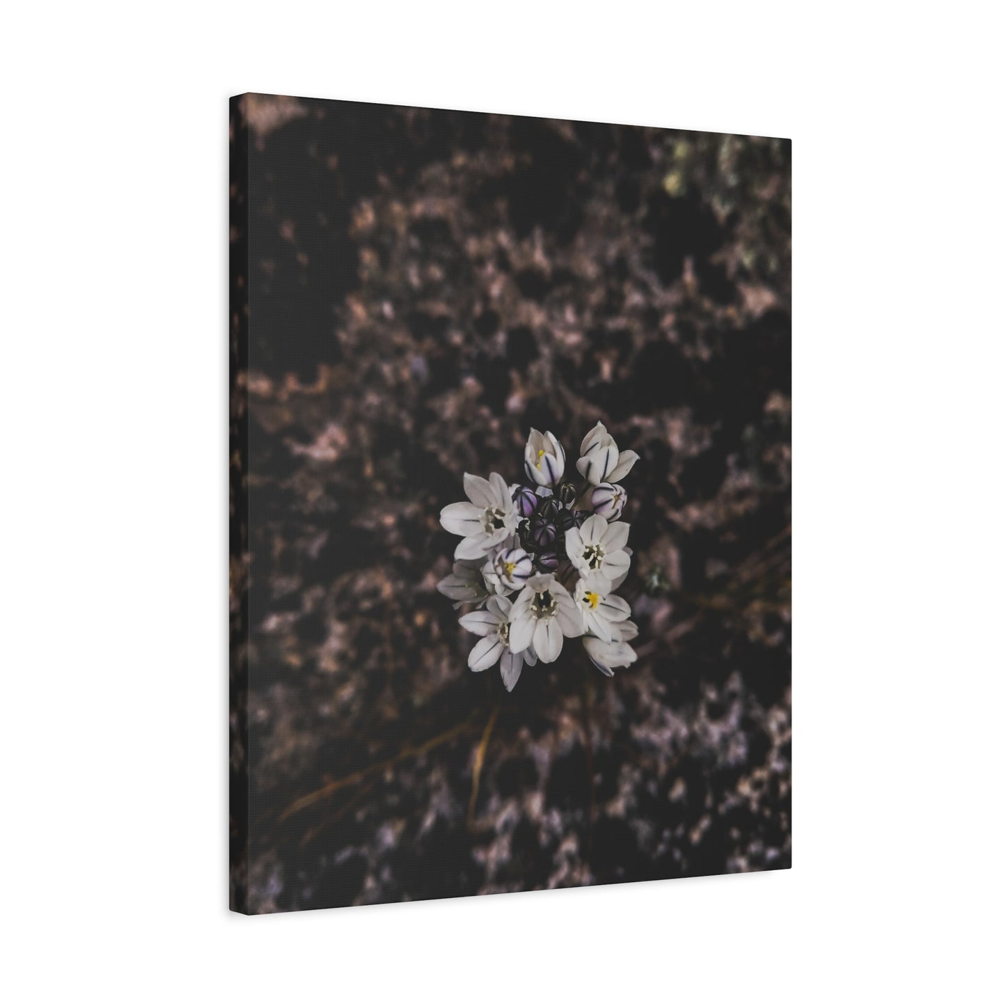Floral Canvas Print, Wall Art, Boho Home Decor, Perfect Gift for Nature Lovers, Mother's Day, Home Gallery