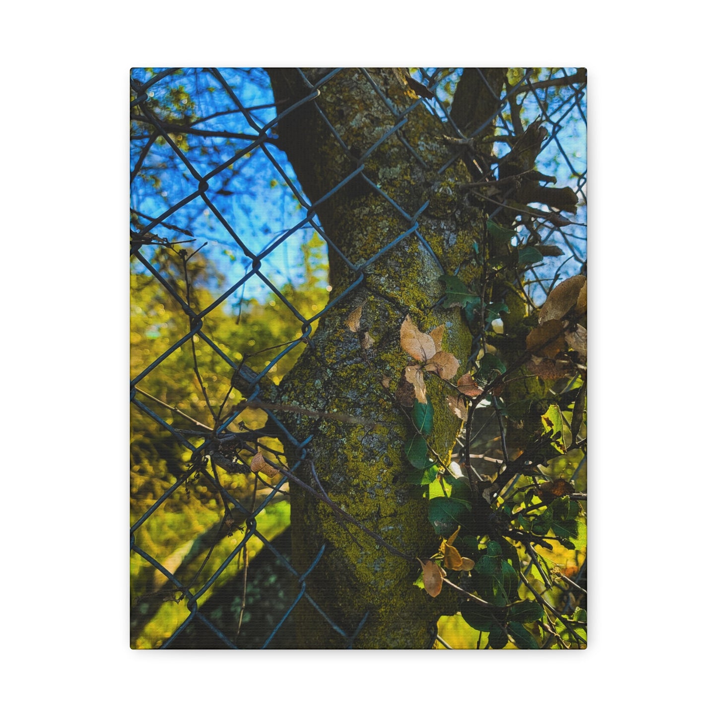 Nature-Inspired Canvas Art, Botanical Wall Decor, Home Aesthetic, Gift for Gardeners, Rustic Art for Living Room, Greenery Home Decor