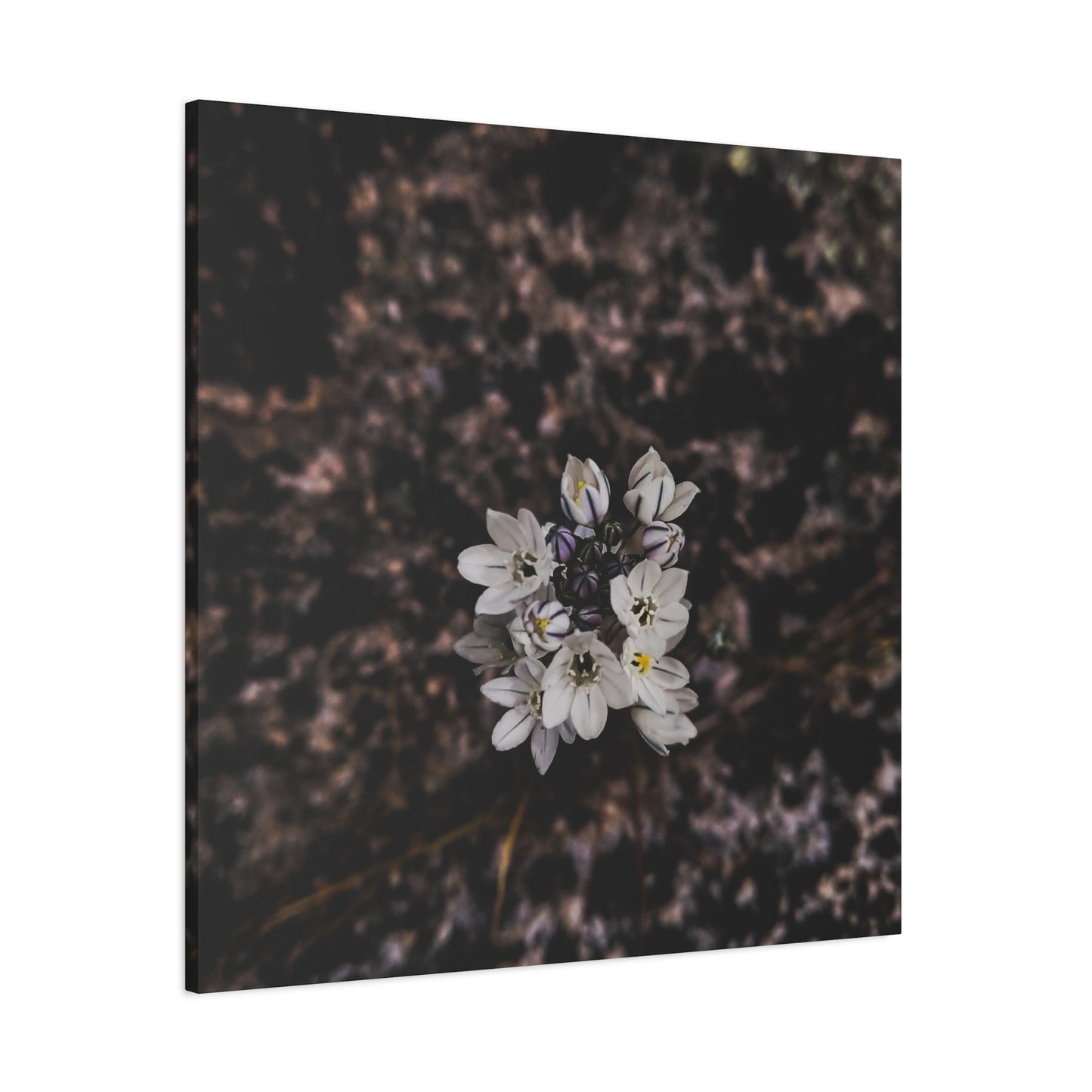 Floral Canvas Print, Wall Art, Boho Home Decor, Perfect Gift for Nature Lovers, Mother's Day, Home Gallery
