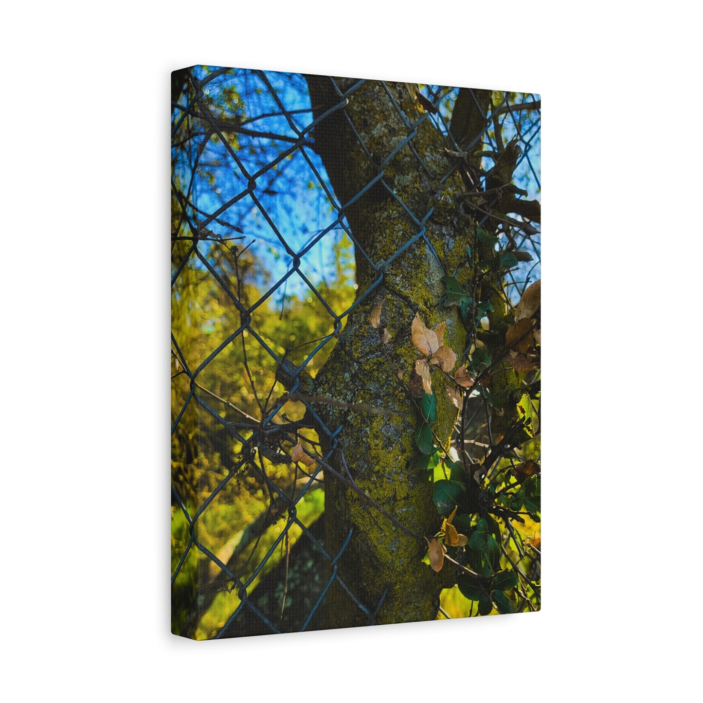 Nature-Inspired Canvas Art, Botanical Wall Decor, Home Aesthetic, Gift for Gardeners, Rustic Art for Living Room, Greenery Home Decor