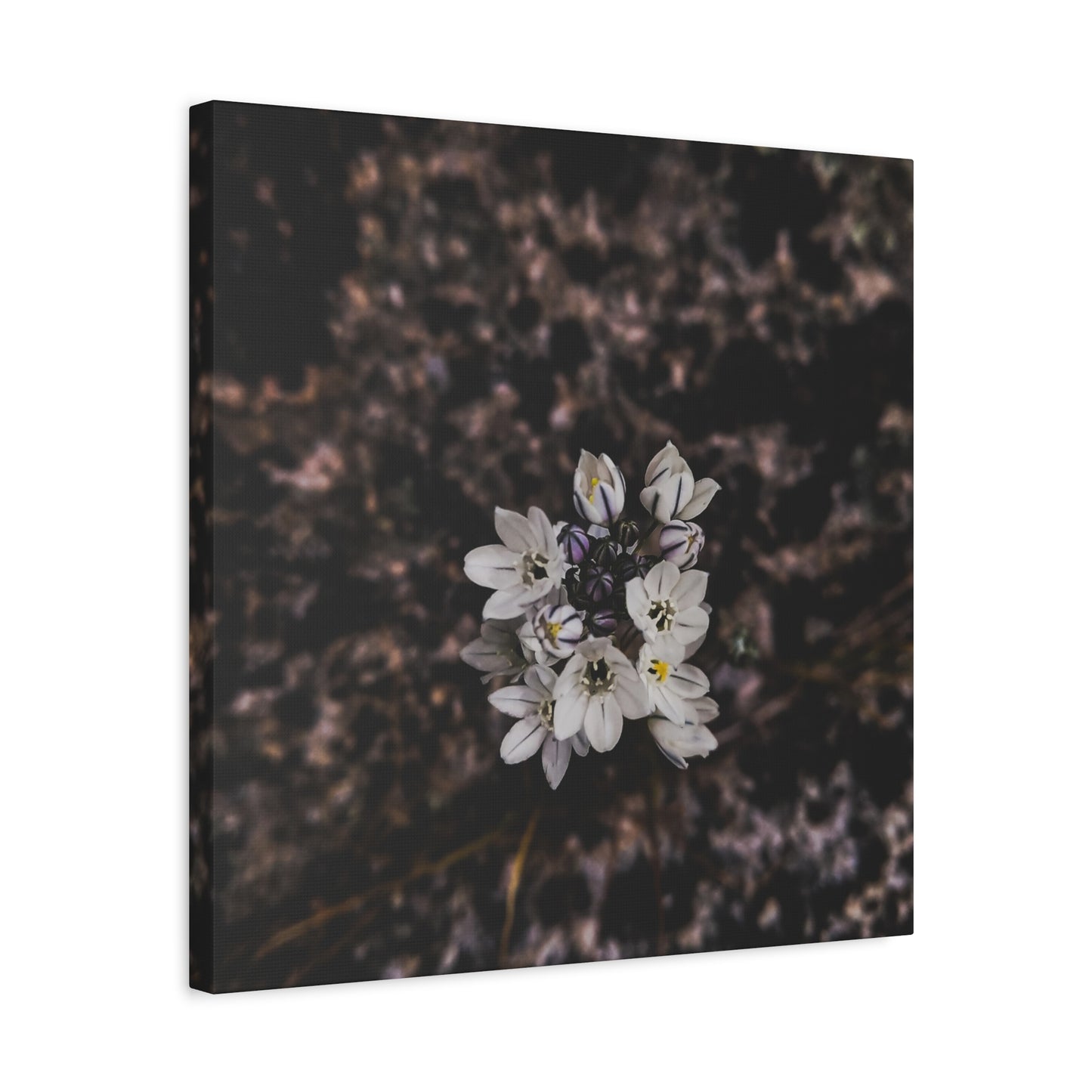 Floral Canvas Print, Wall Art, Boho Home Decor, Perfect Gift for Nature Lovers, Mother's Day, Home Gallery