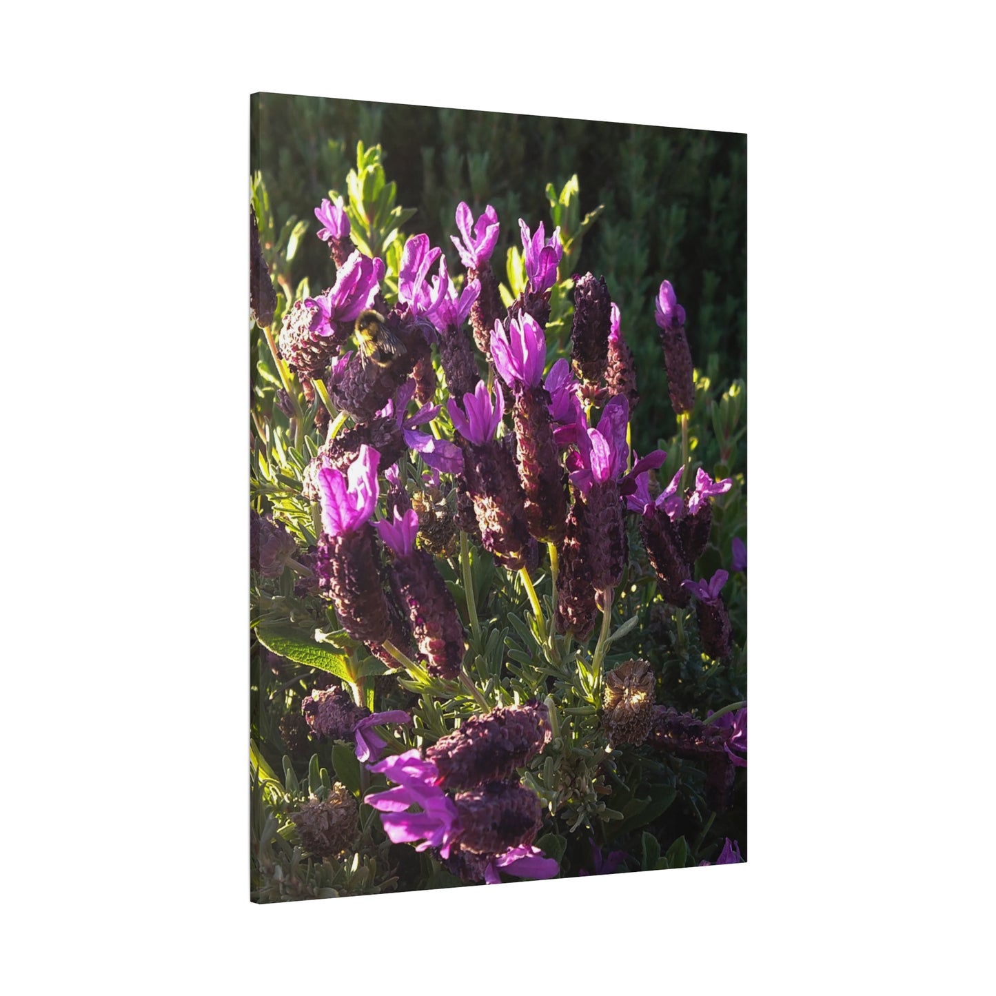 Purple Floral Canvas Wall Art, Botanical Decor, Nature Art, Home Decoration, Gift for Nature Lovers