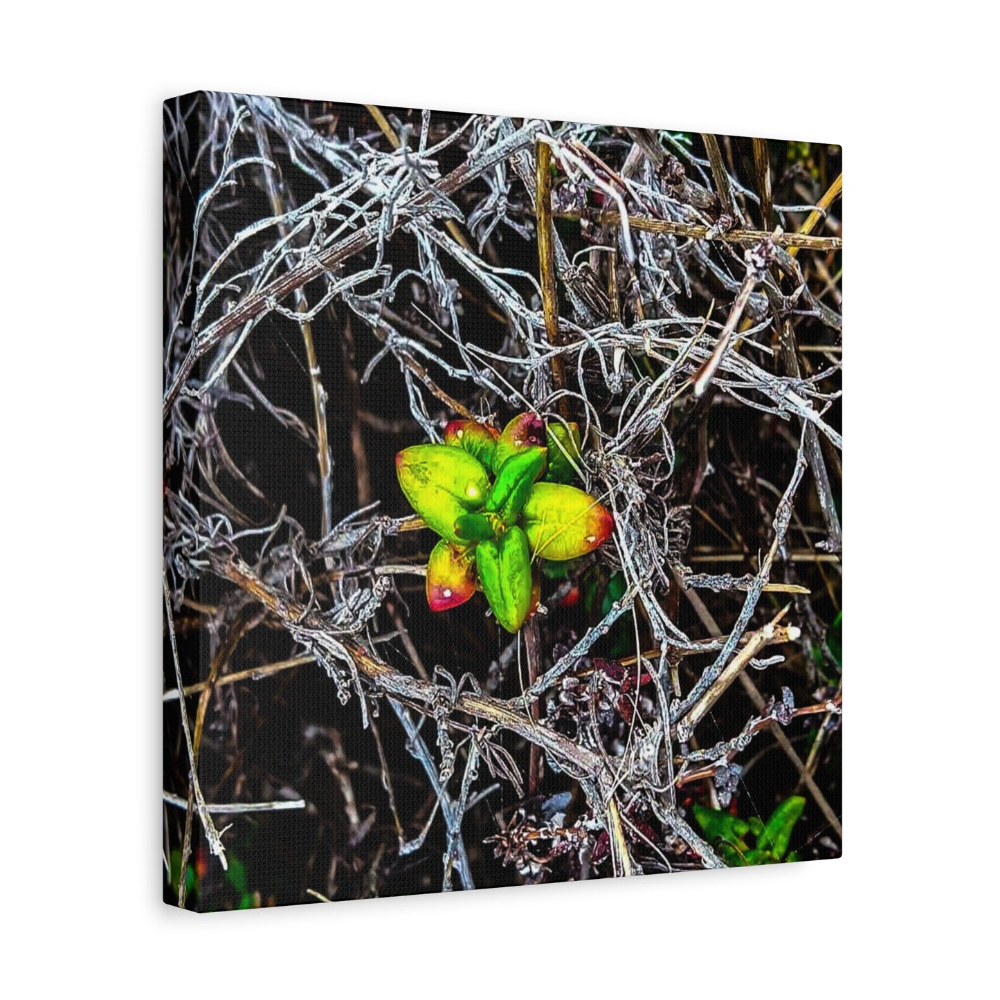 Vibrant Nature Art Canvas, Green Buds Home Decor, Botanical Wall Art, Gift for Plant Lovers, Modern Interior Decor