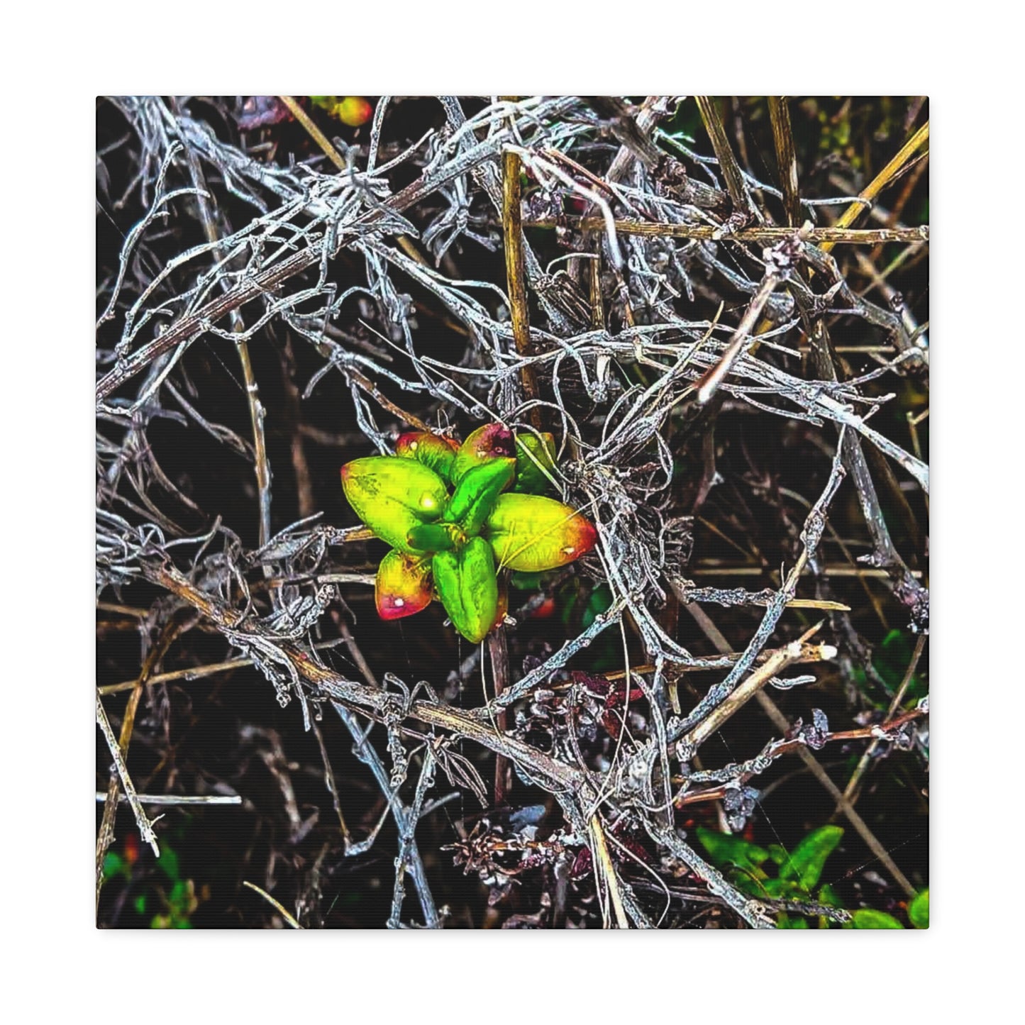 Vibrant Nature Art Canvas, Green Buds Home Decor, Botanical Wall Art, Gift for Plant Lovers, Modern Interior Decor