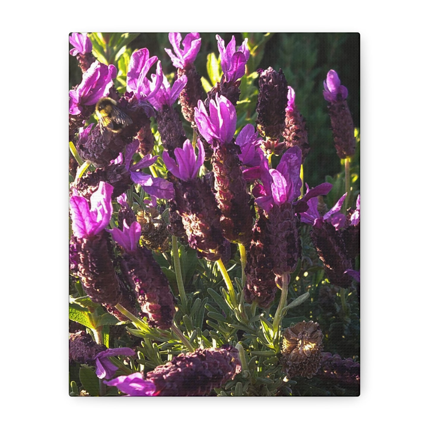 Purple Floral Canvas Wall Art, Botanical Decor, Nature Art, Home Decoration, Gift for Nature Lovers