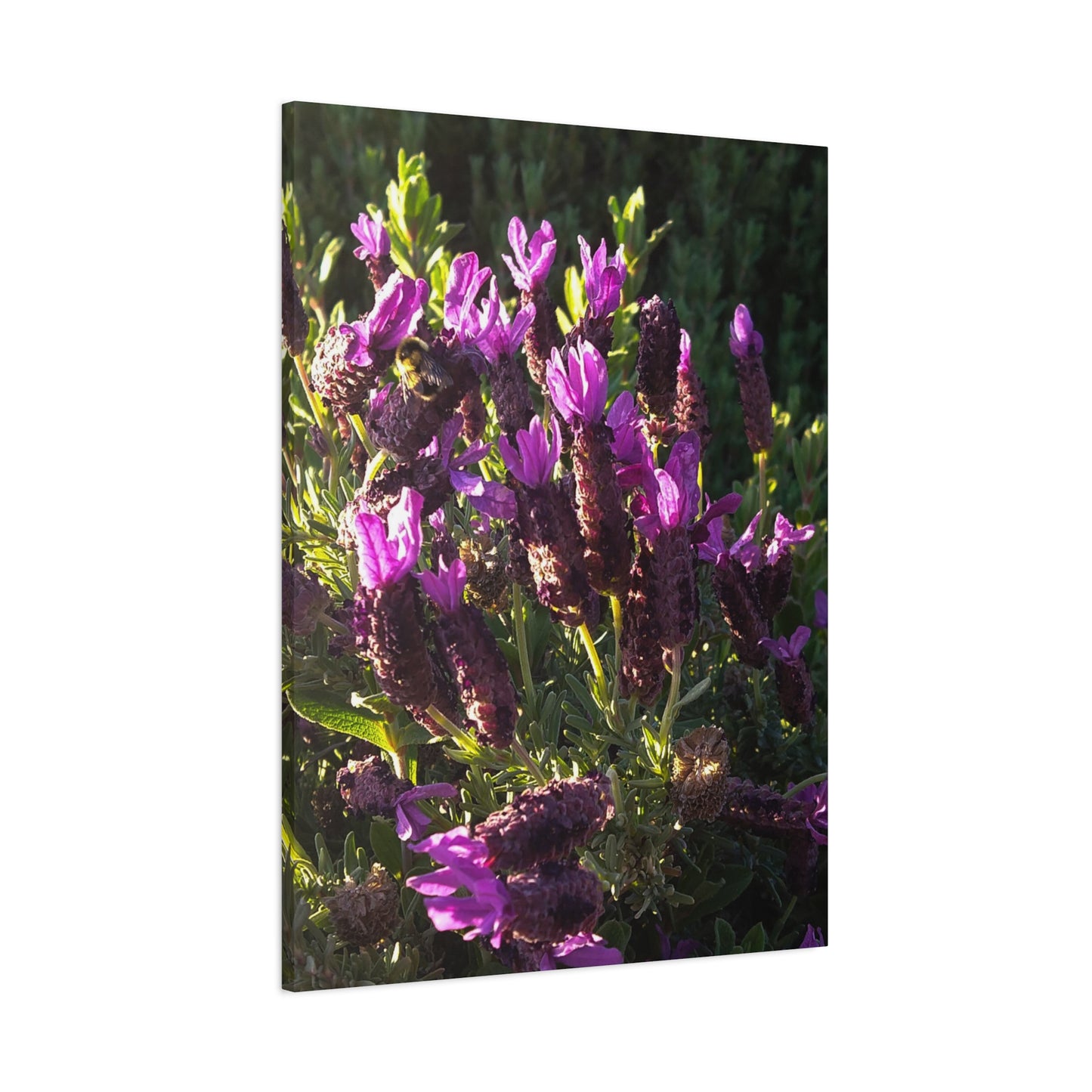 Purple Floral Canvas Wall Art, Botanical Decor, Nature Art, Home Decoration, Gift for Nature Lovers