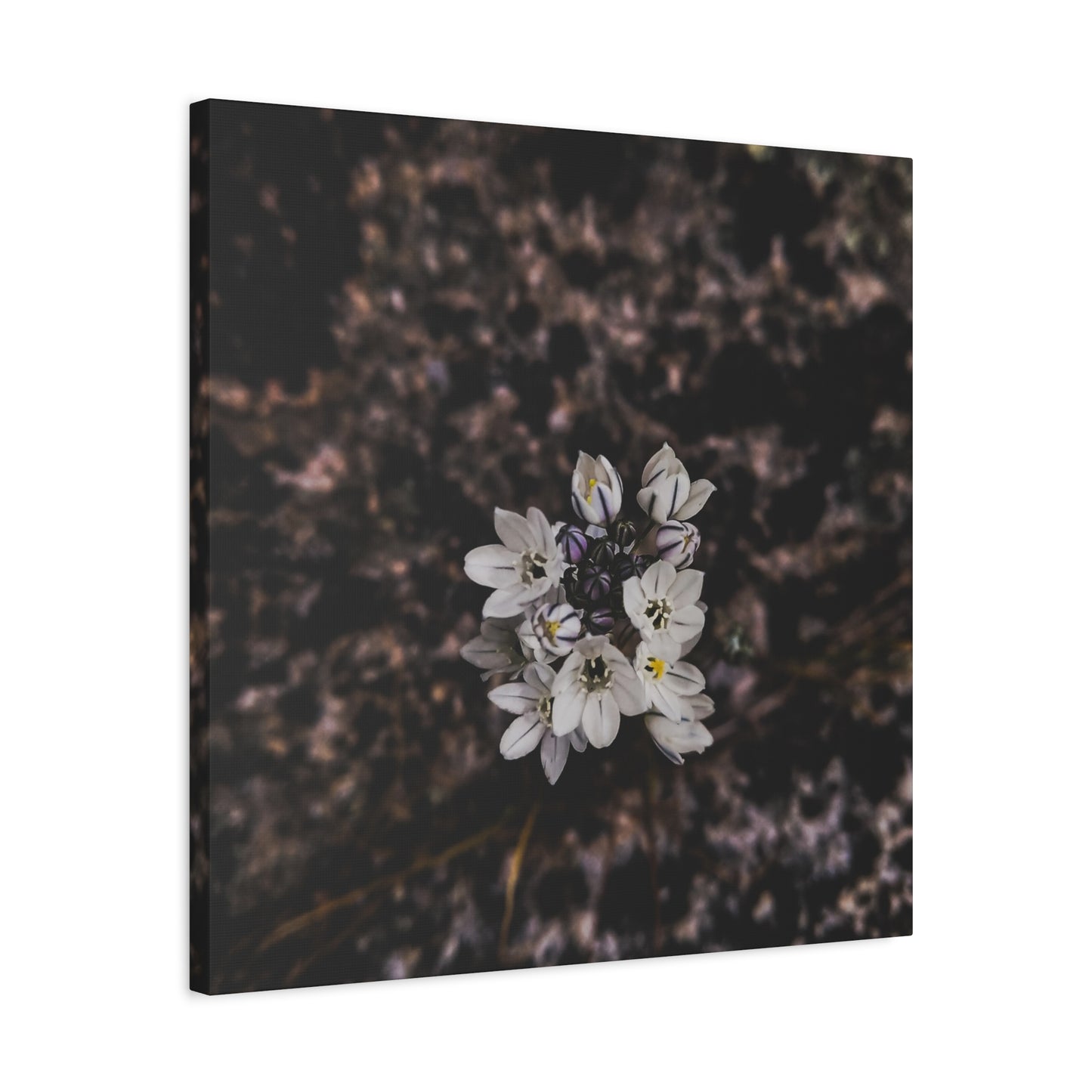 Floral Canvas Print, Wall Art, Boho Home Decor, Perfect Gift for Nature Lovers, Mother's Day, Home Gallery