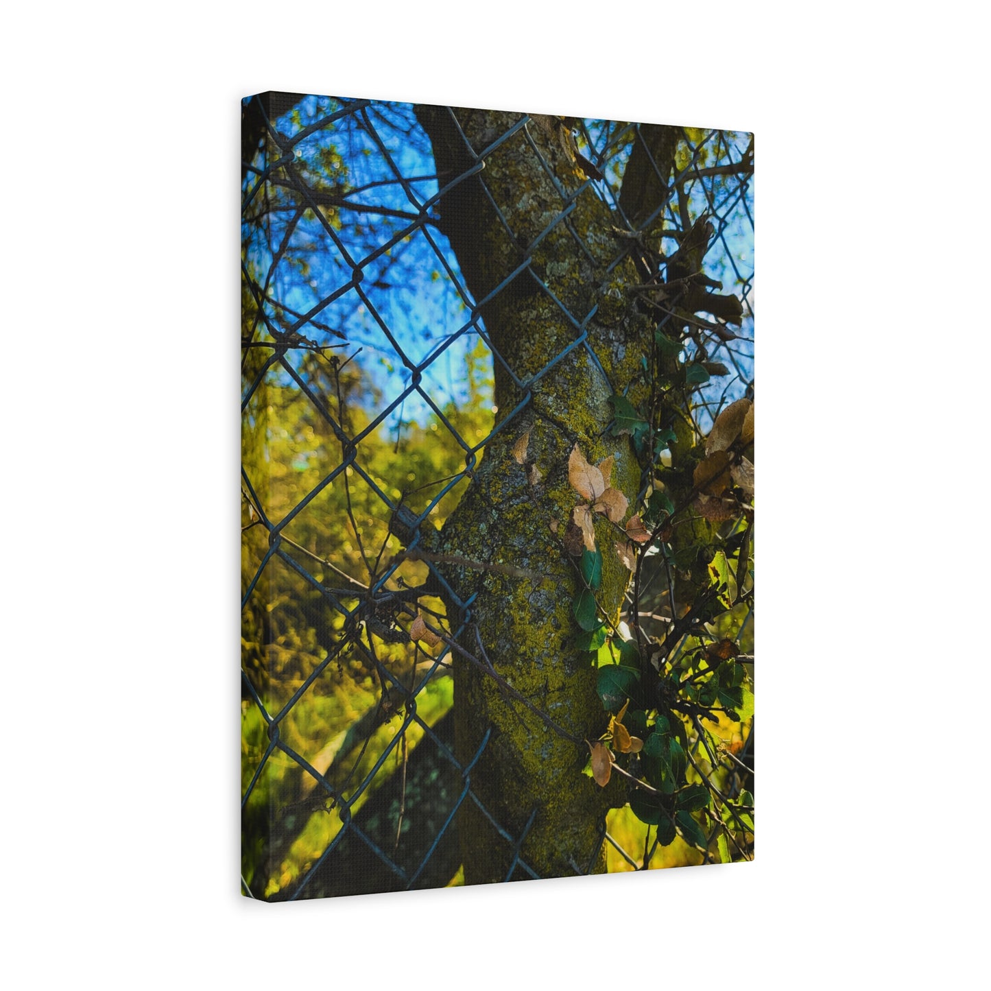 Nature-Inspired Canvas Art, Botanical Wall Decor, Home Aesthetic, Gift for Gardeners, Rustic Art for Living Room, Greenery Home Decor