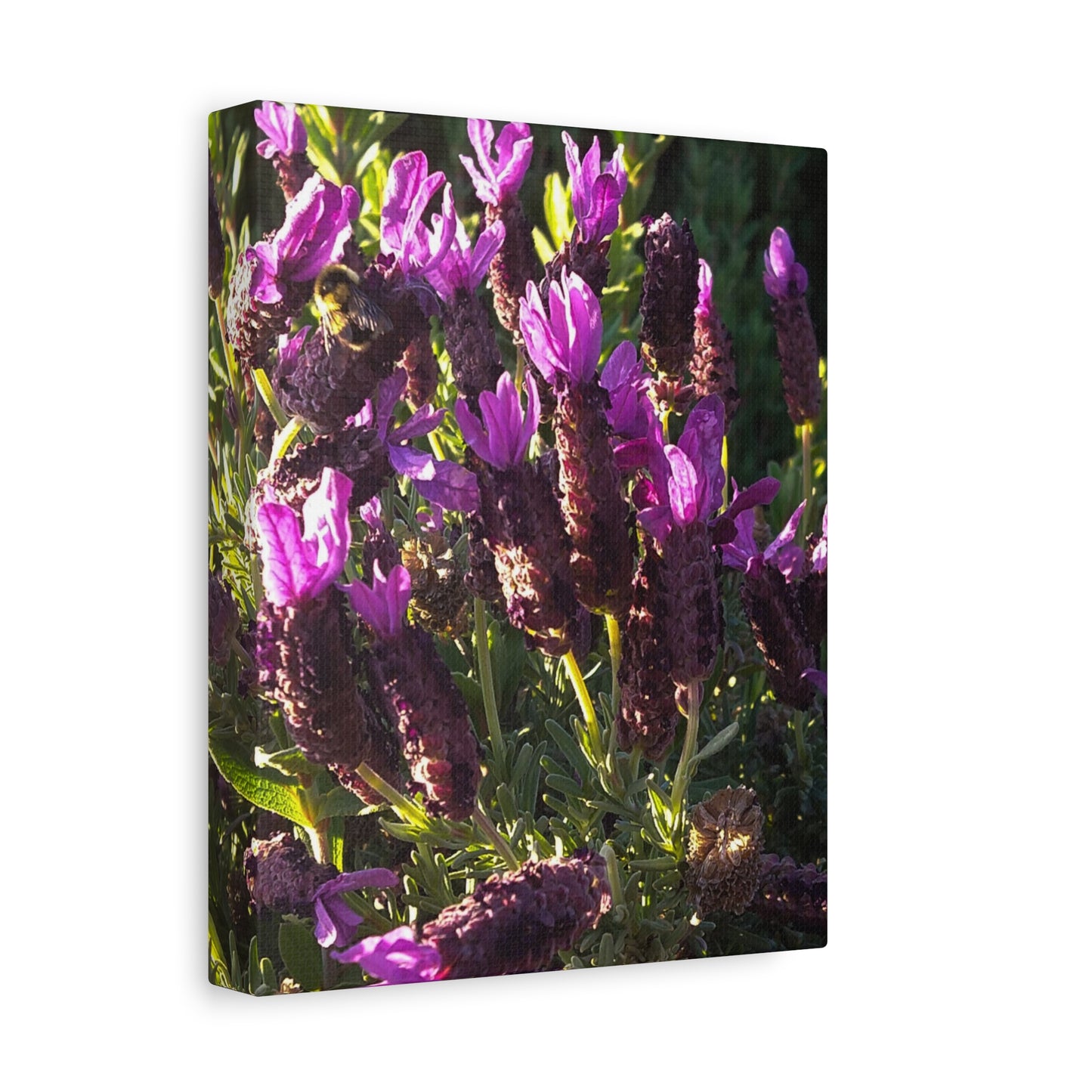 Purple Floral Canvas Wall Art, Botanical Decor, Nature Art, Home Decoration, Gift for Nature Lovers