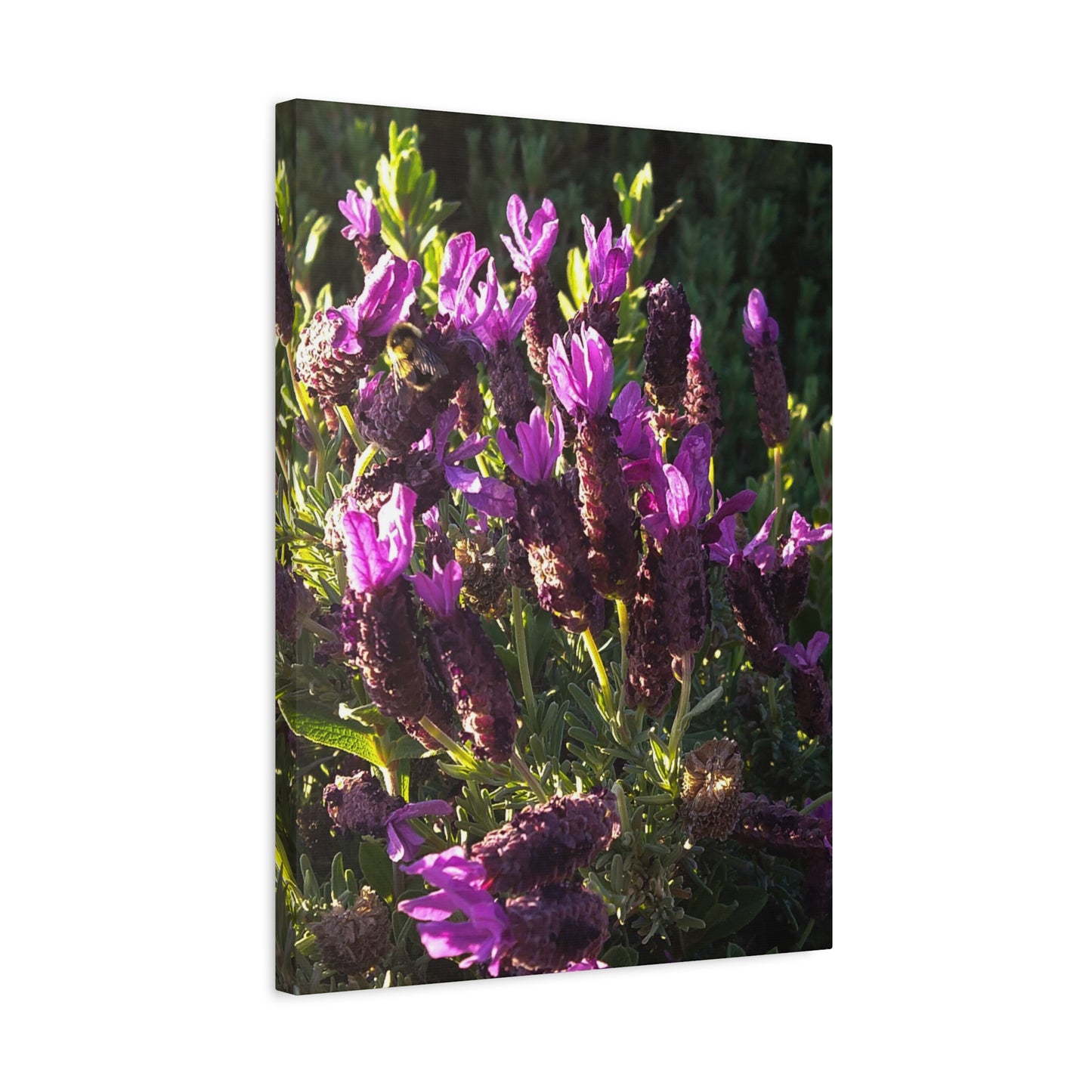 Purple Floral Canvas Wall Art, Botanical Decor, Nature Art, Home Decoration, Gift for Nature Lovers