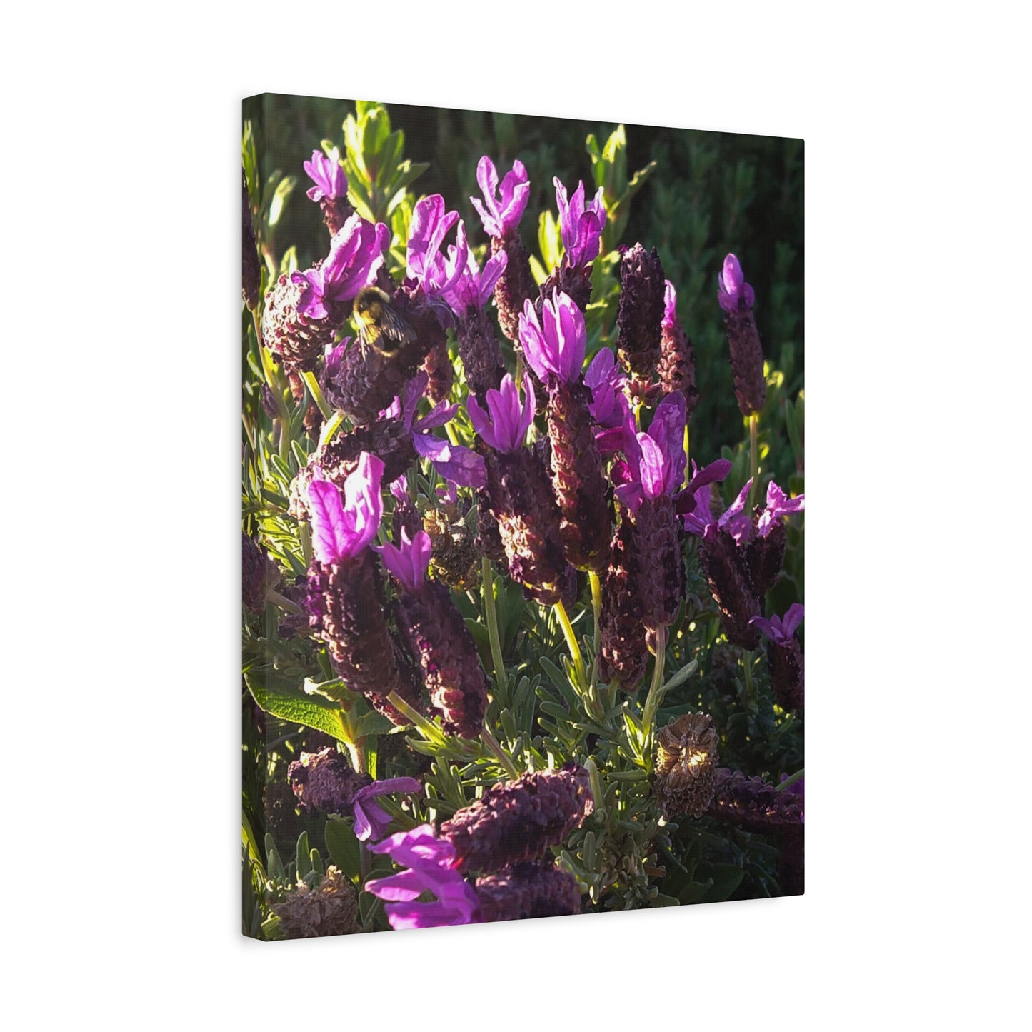 Purple Floral Canvas Wall Art, Botanical Decor, Nature Art, Home Decoration, Gift for Nature Lovers