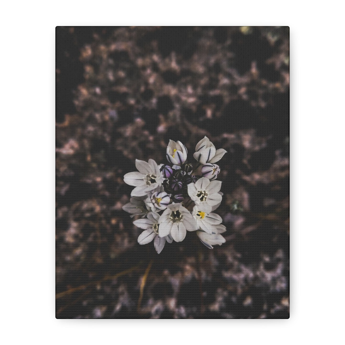 Floral Canvas Print, Wall Art, Boho Home Decor, Perfect Gift for Nature Lovers, Mother's Day, Home Gallery