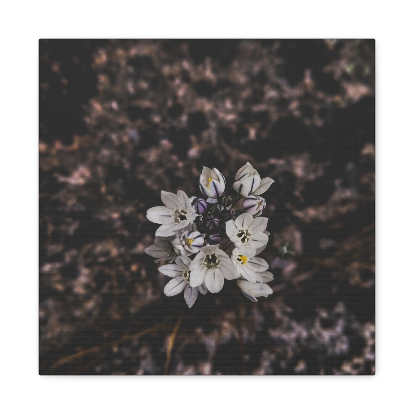 Floral Canvas Print, Wall Art, Boho Home Decor, Perfect Gift for Nature Lovers, Mother's Day, Home Gallery