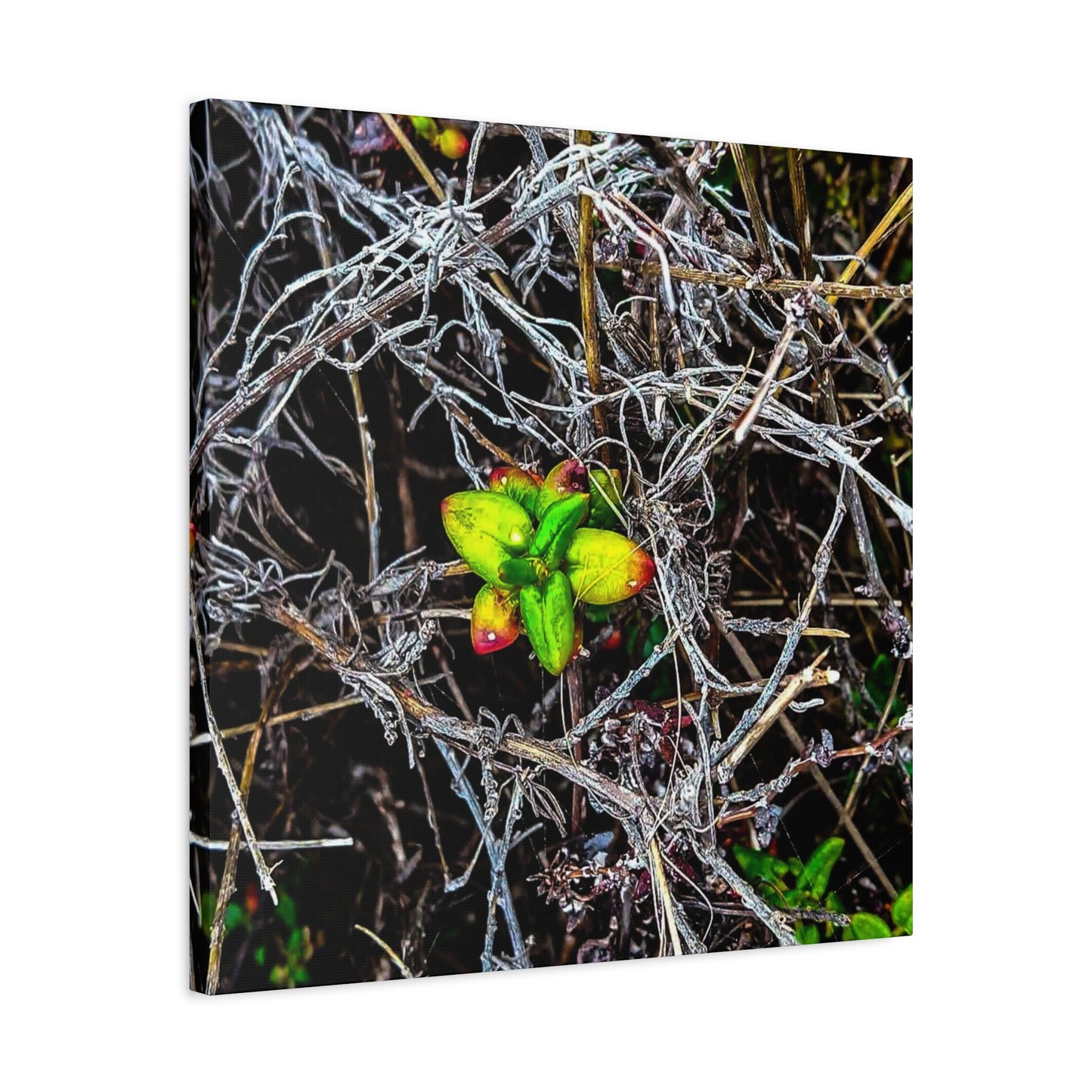Vibrant Nature Art Canvas, Green Buds Home Decor, Botanical Wall Art, Gift for Plant Lovers, Modern Interior Decor