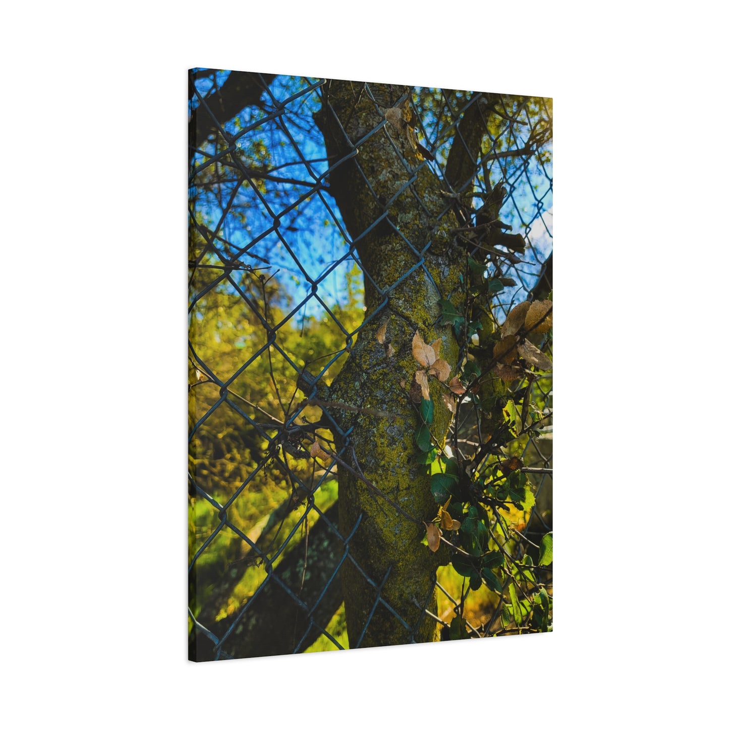 Nature-Inspired Canvas Art, Botanical Wall Decor, Home Aesthetic, Gift for Gardeners, Rustic Art for Living Room, Greenery Home Decor
