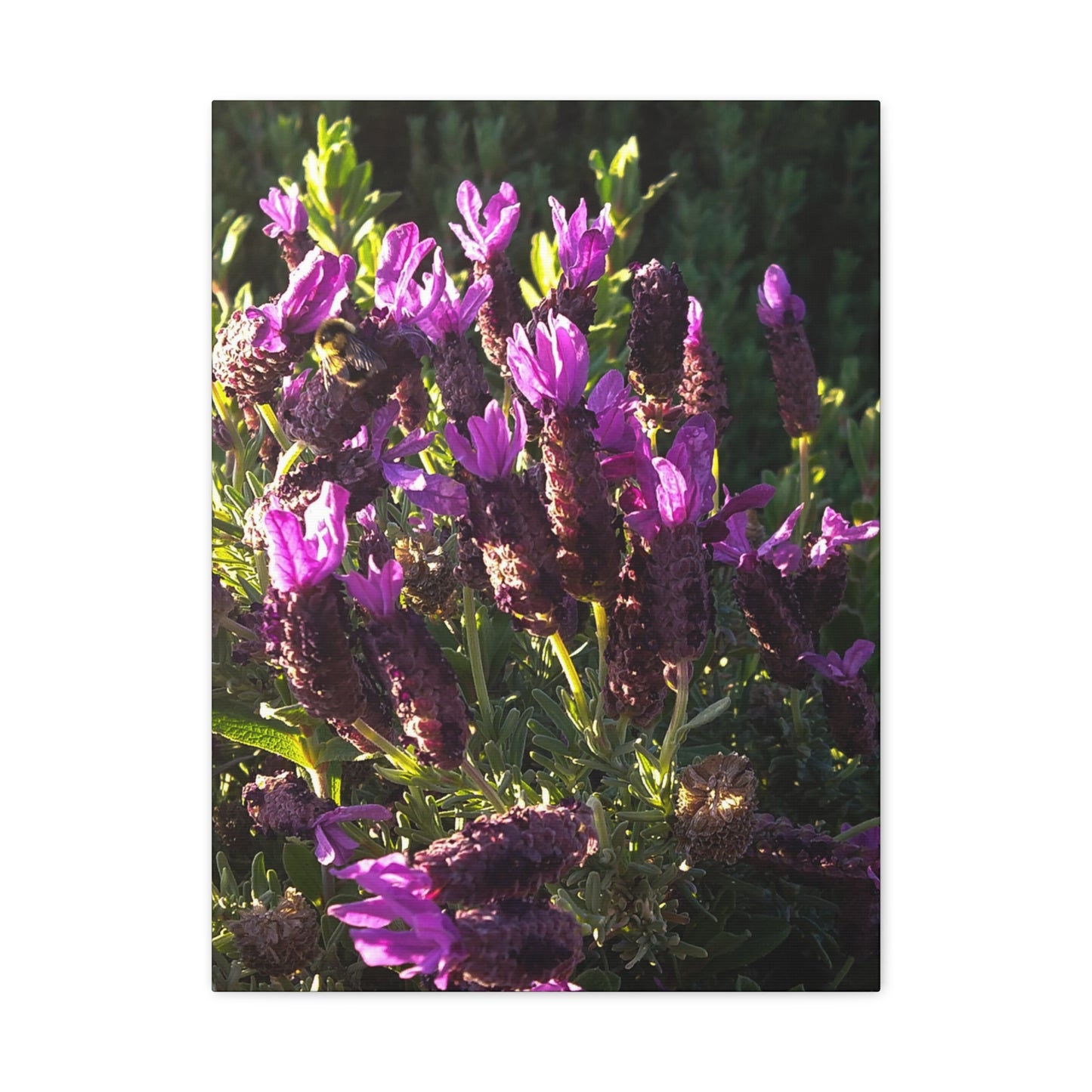 Purple Floral Canvas Wall Art, Botanical Decor, Nature Art, Home Decoration, Gift for Nature Lovers
