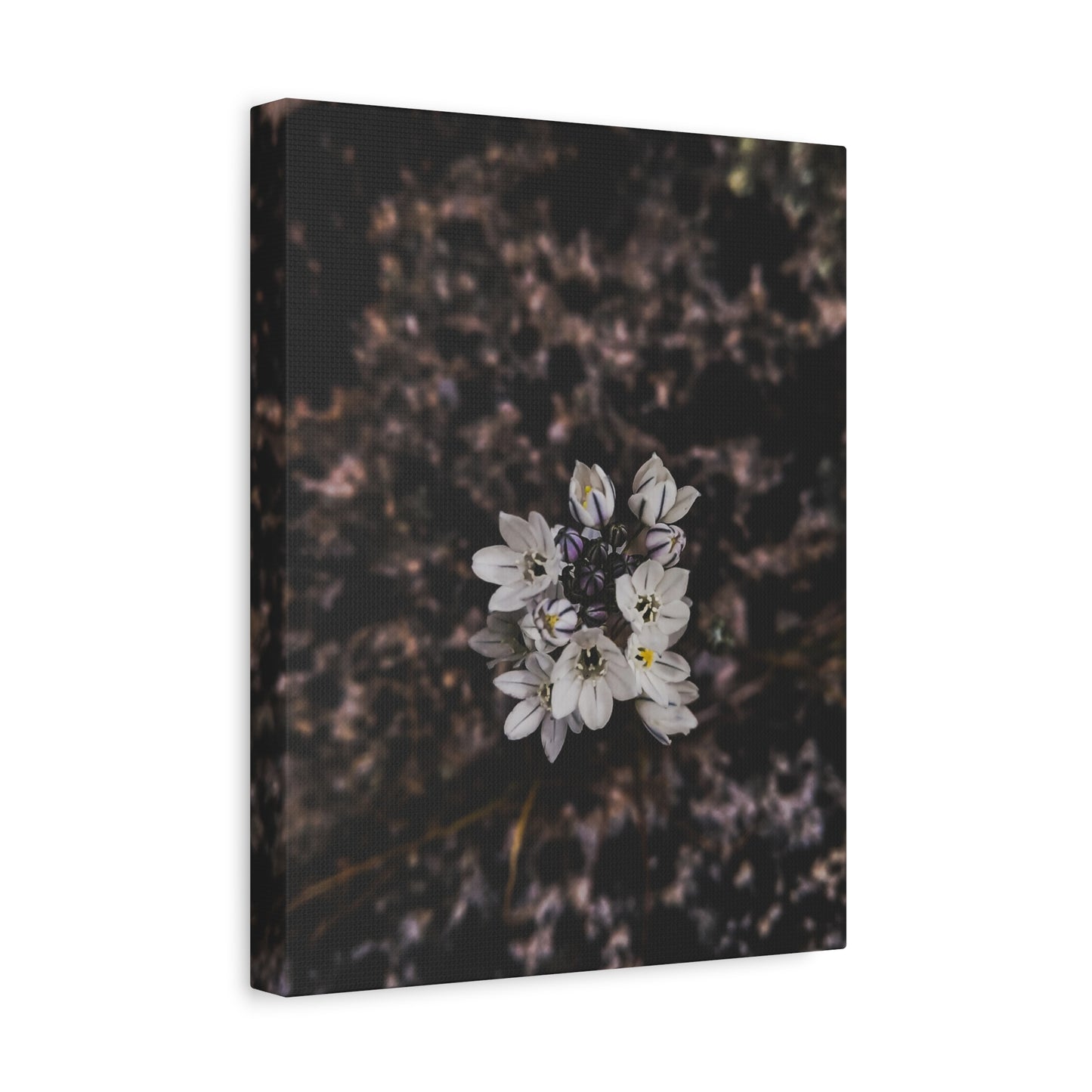 Floral Canvas Print, Wall Art, Boho Home Decor, Perfect Gift for Nature Lovers, Mother's Day, Home Gallery