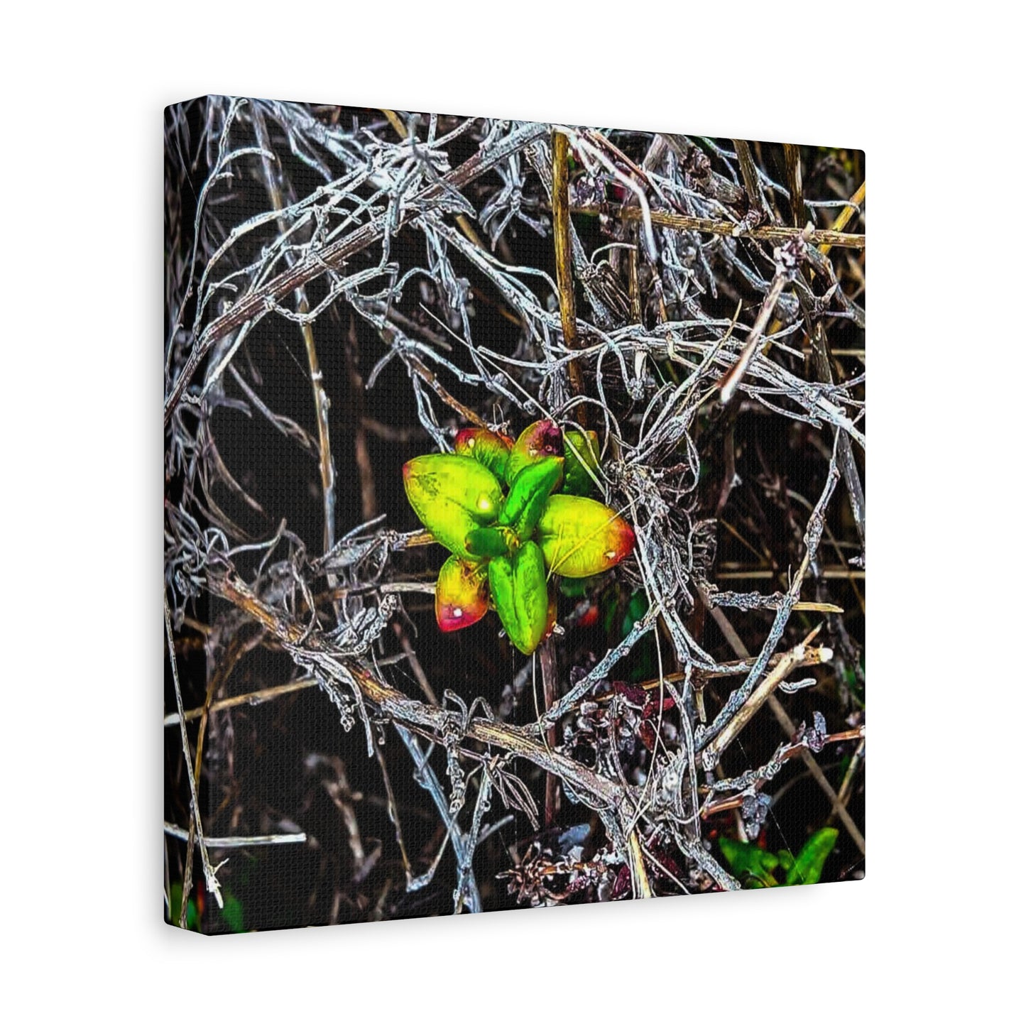 Vibrant Nature Art Canvas, Green Buds Home Decor, Botanical Wall Art, Gift for Plant Lovers, Modern Interior Decor