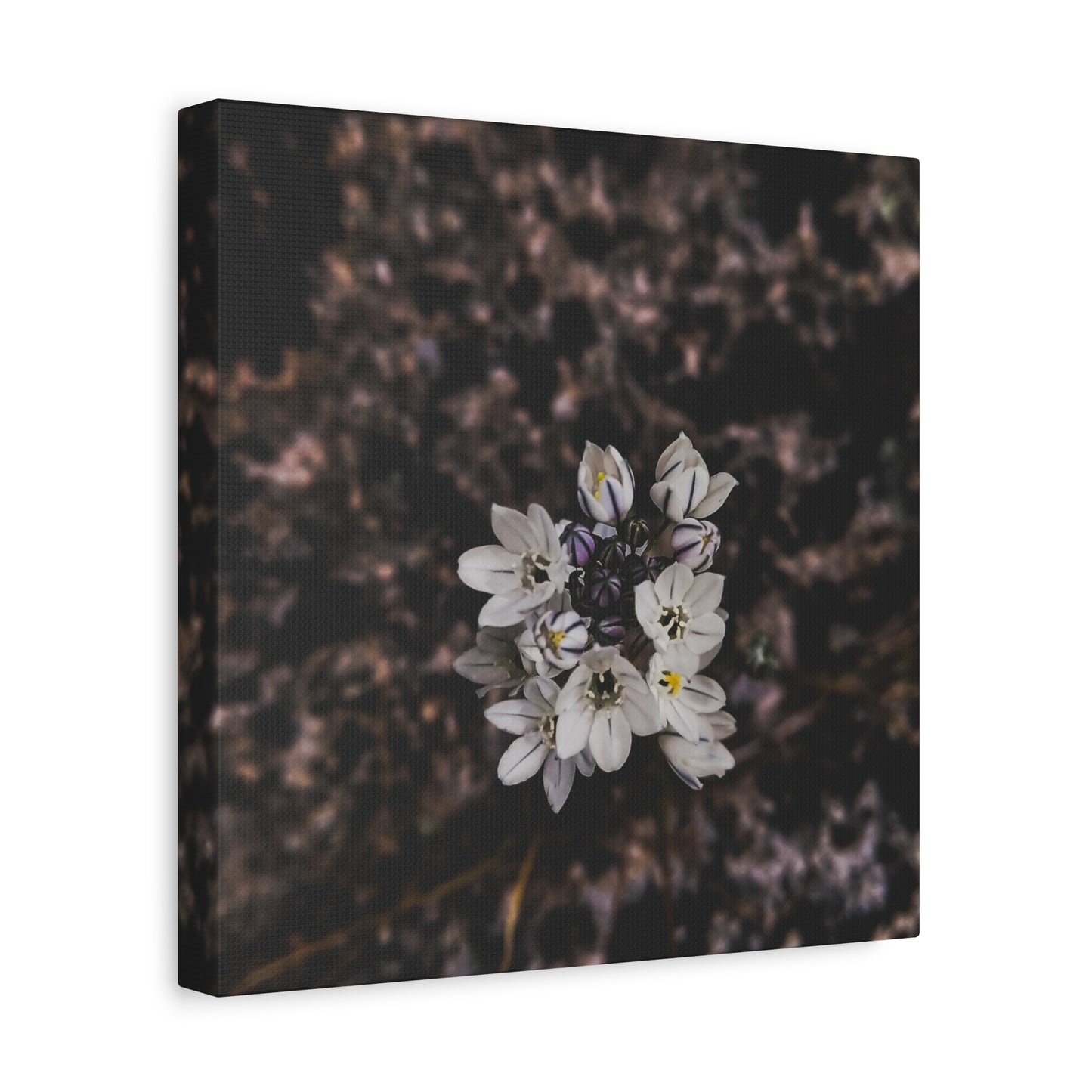 Floral Canvas Print, Wall Art, Boho Home Decor, Perfect Gift for Nature Lovers, Mother's Day, Home Gallery