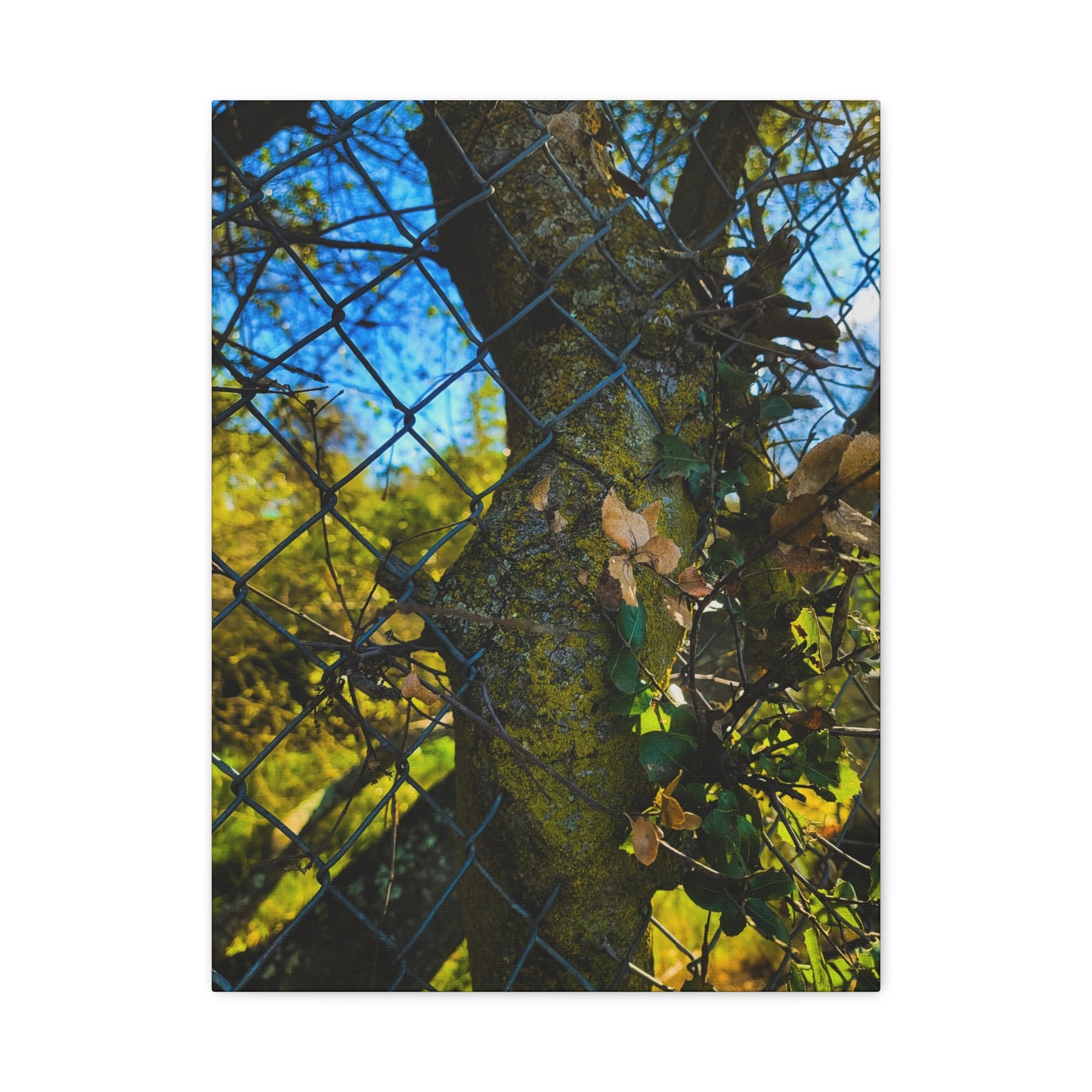 Nature-Inspired Canvas Art, Botanical Wall Decor, Home Aesthetic, Gift for Gardeners, Rustic Art for Living Room, Greenery Home Decor
