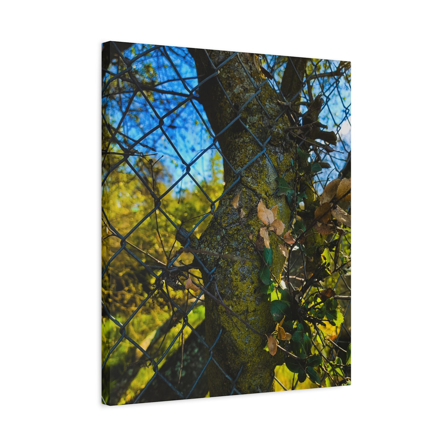 Nature-Inspired Canvas Art, Botanical Wall Decor, Home Aesthetic, Gift for Gardeners, Rustic Art for Living Room, Greenery Home Decor