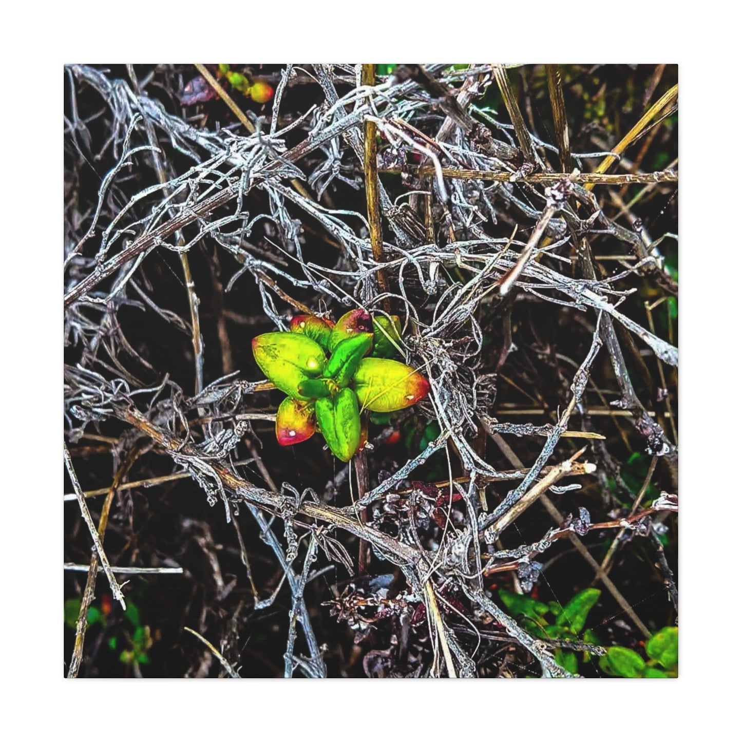 Vibrant Nature Art Canvas, Green Buds Home Decor, Botanical Wall Art, Gift for Plant Lovers, Modern Interior Decor