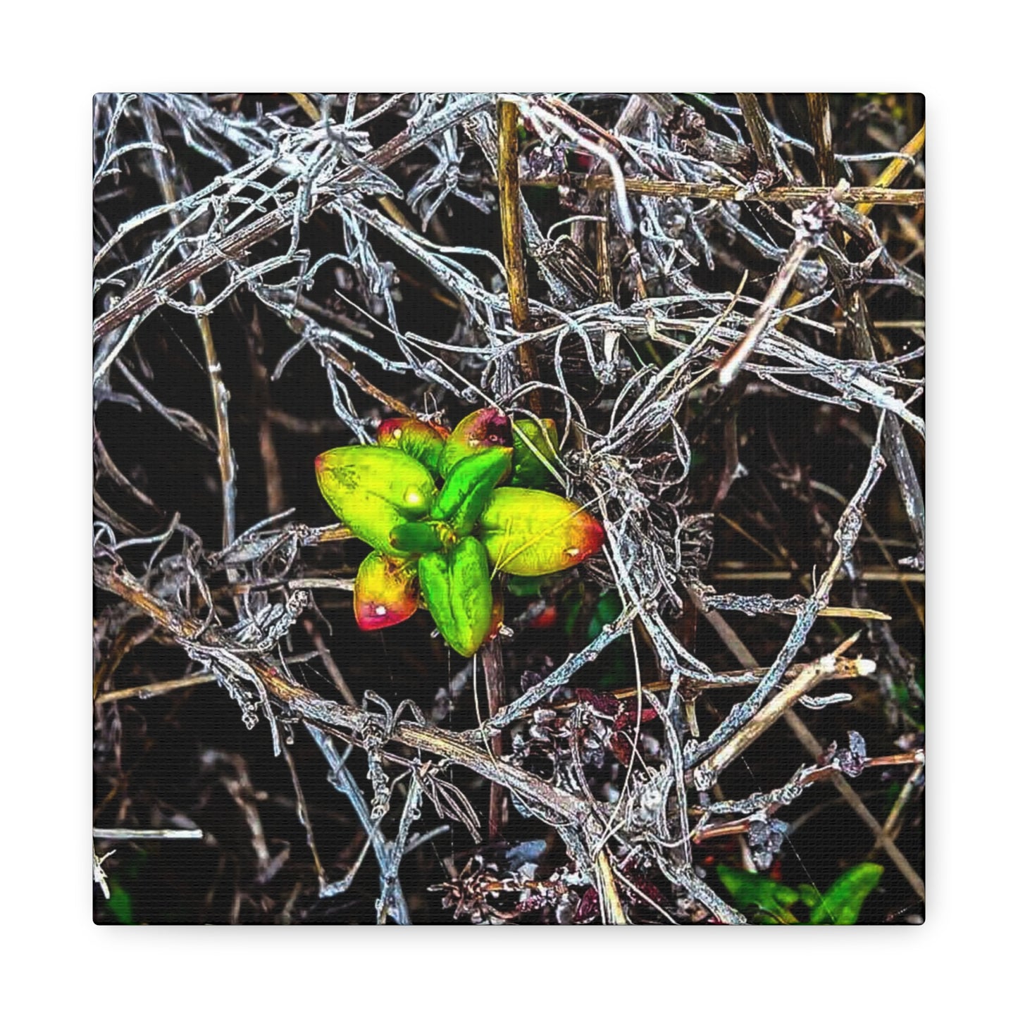 Vibrant Nature Art Canvas, Green Buds Home Decor, Botanical Wall Art, Gift for Plant Lovers, Modern Interior Decor