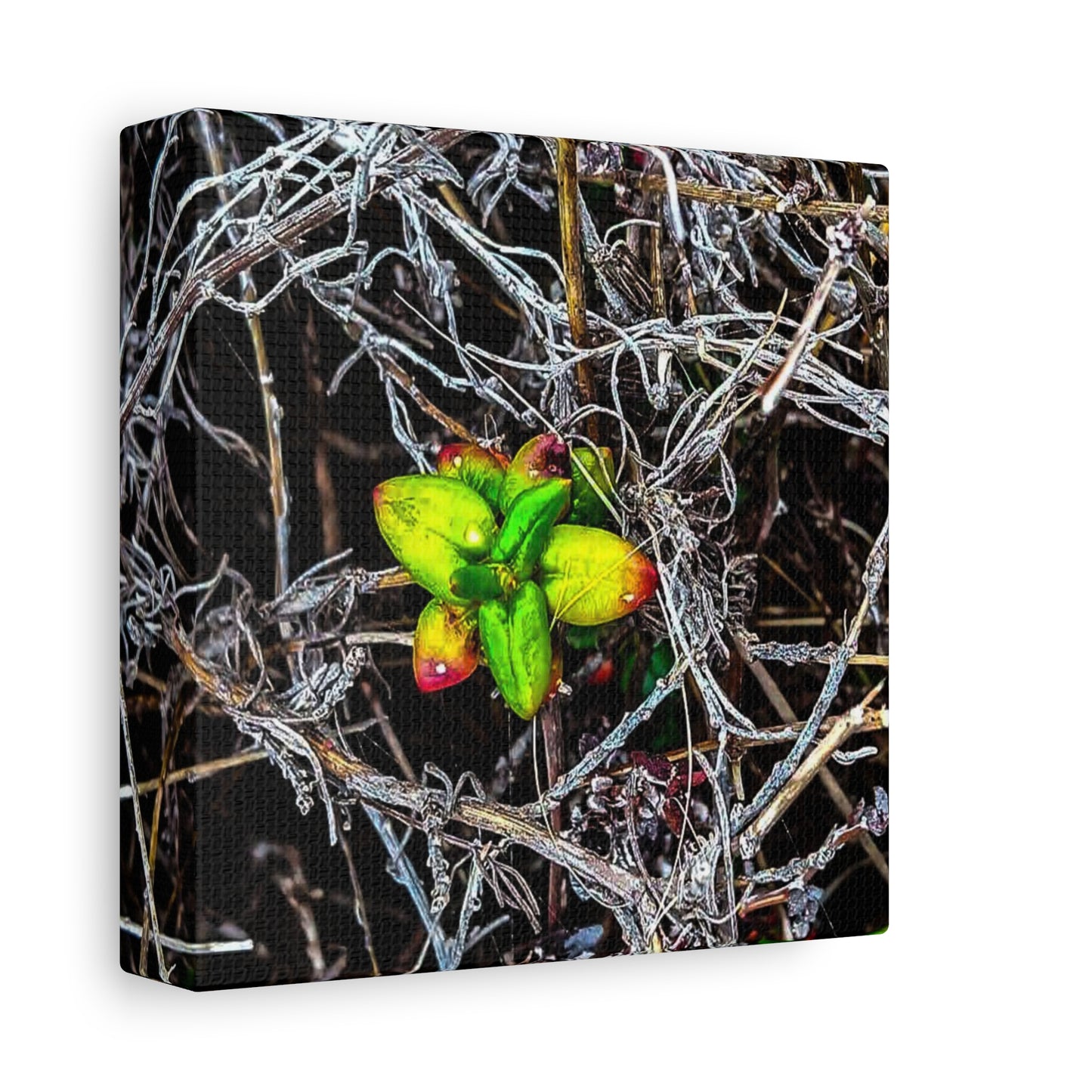 Vibrant Nature Art Canvas, Green Buds Home Decor, Botanical Wall Art, Gift for Plant Lovers, Modern Interior Decor