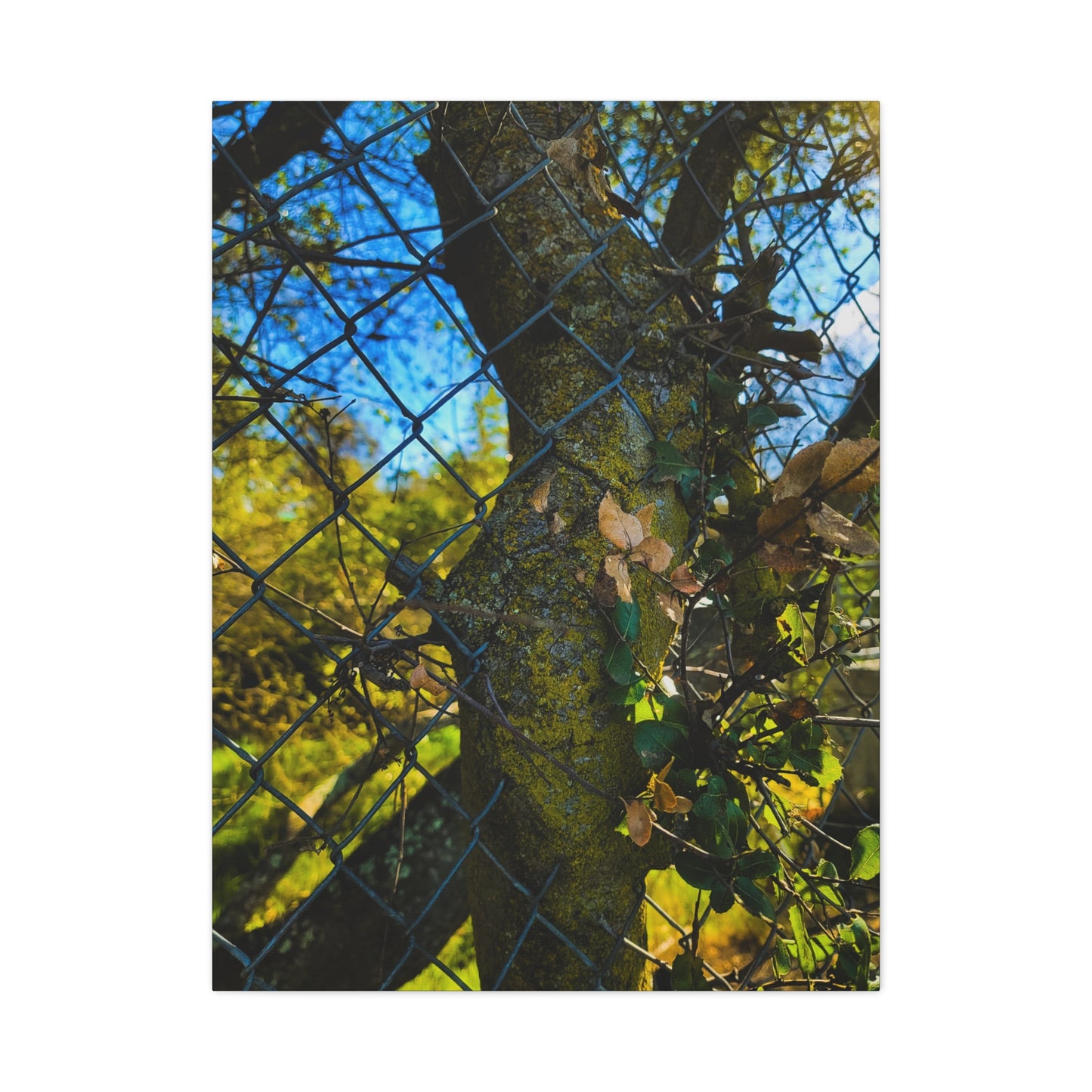 Nature-Inspired Canvas Art, Botanical Wall Decor, Home Aesthetic, Gift for Gardeners, Rustic Art for Living Room, Greenery Home Decor