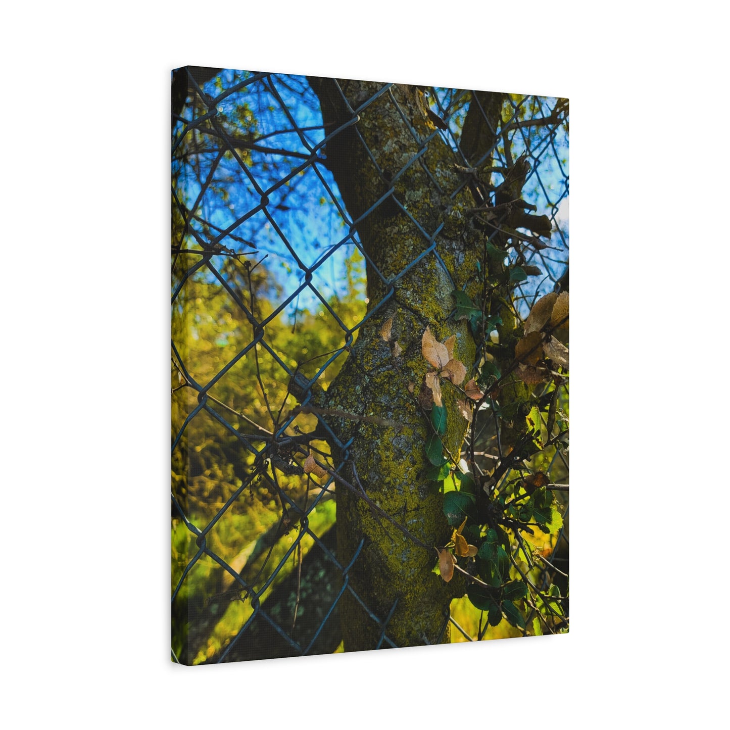 Nature-Inspired Canvas Art, Botanical Wall Decor, Home Aesthetic, Gift for Gardeners, Rustic Art for Living Room, Greenery Home Decor