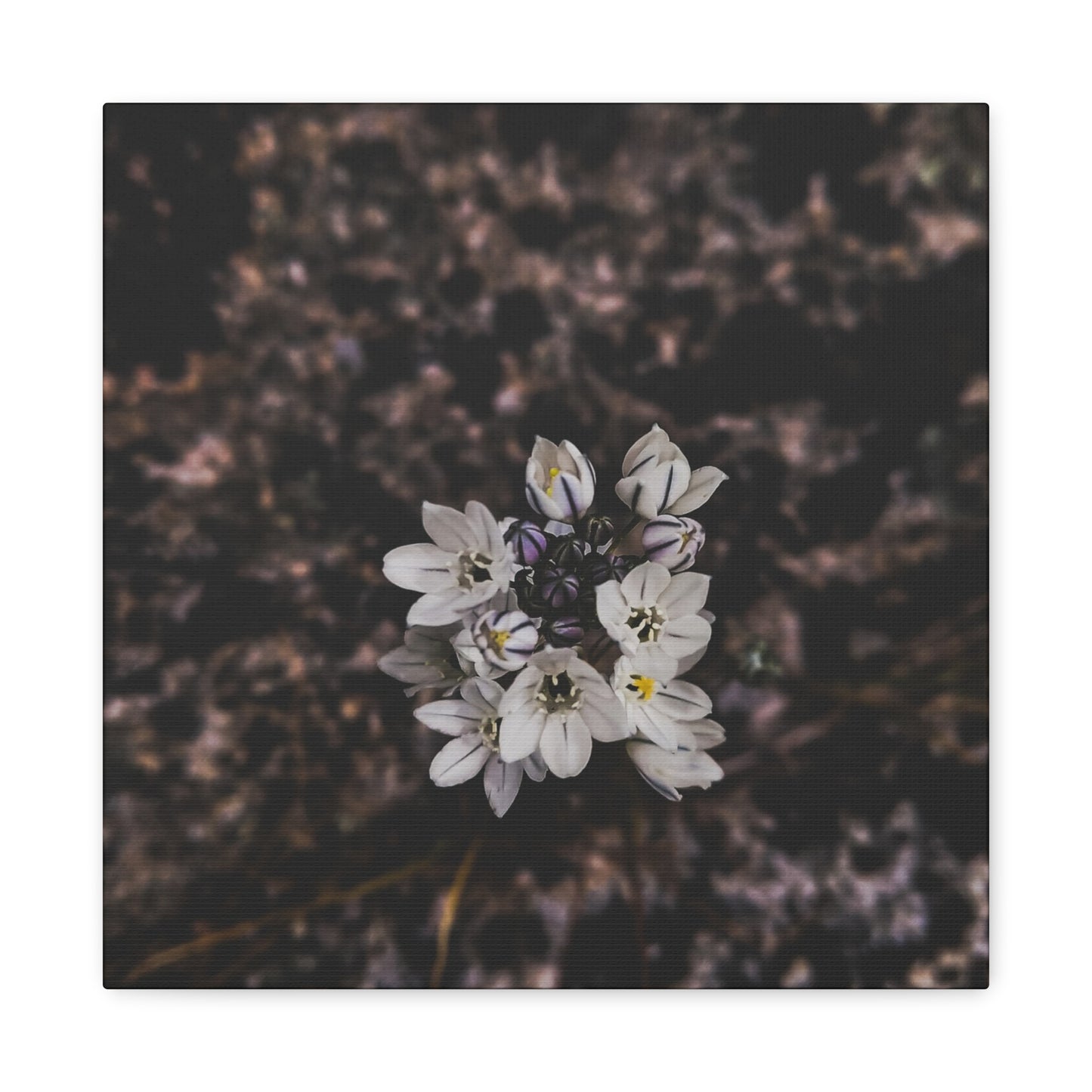 Floral Canvas Print, Wall Art, Boho Home Decor, Perfect Gift for Nature Lovers, Mother's Day, Home Gallery