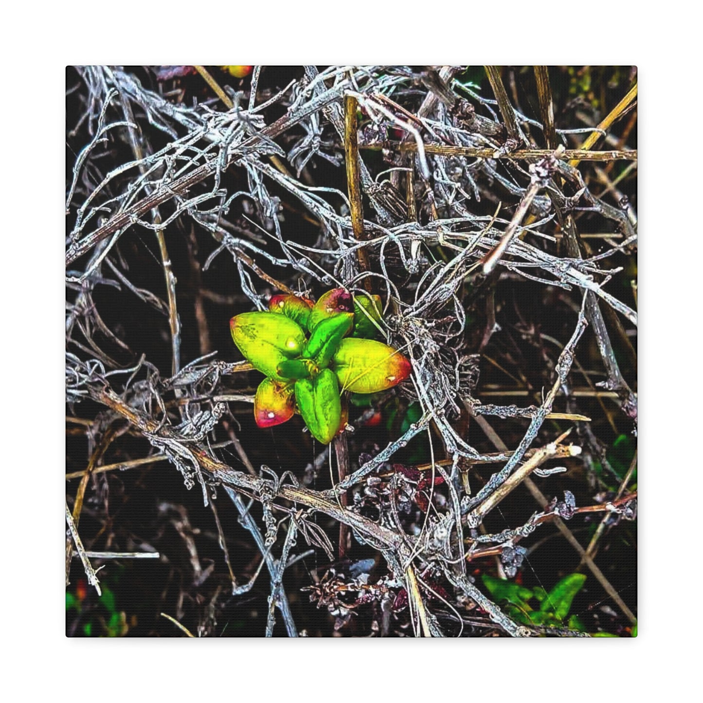 Vibrant Nature Art Canvas, Green Buds Home Decor, Botanical Wall Art, Gift for Plant Lovers, Modern Interior Decor