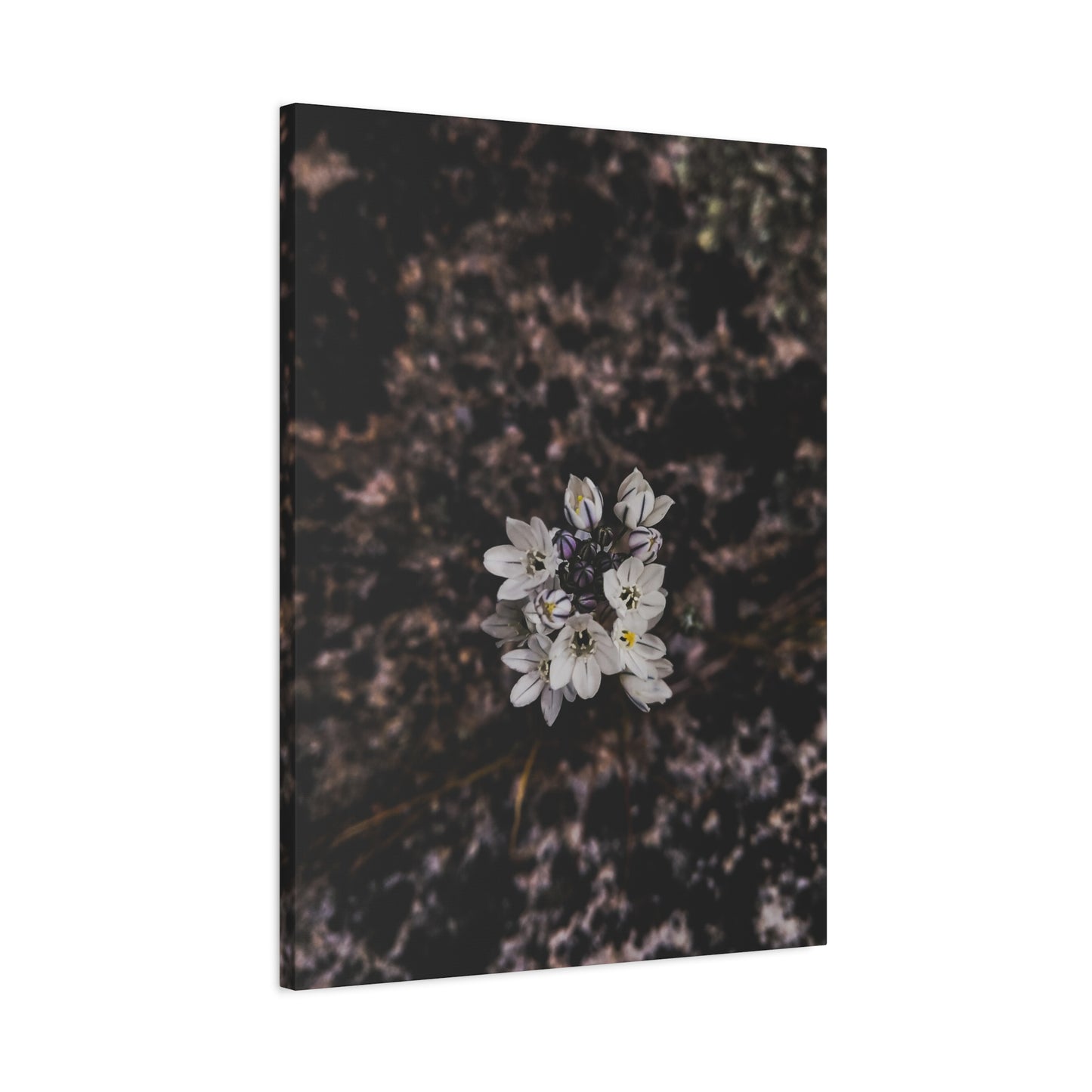 Floral Canvas Print, Wall Art, Boho Home Decor, Perfect Gift for Nature Lovers, Mother's Day, Home Gallery
