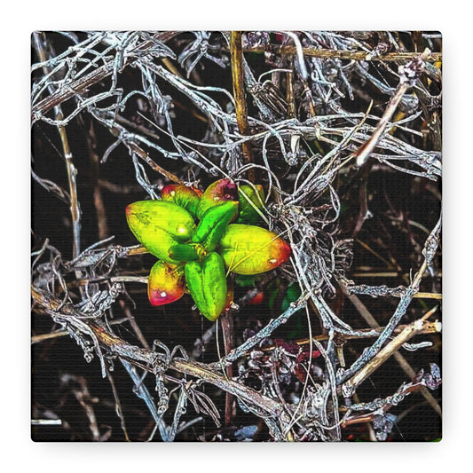 Vibrant Nature Art Canvas, Green Buds Home Decor, Botanical Wall Art, Gift for Plant Lovers, Modern Interior Decor
