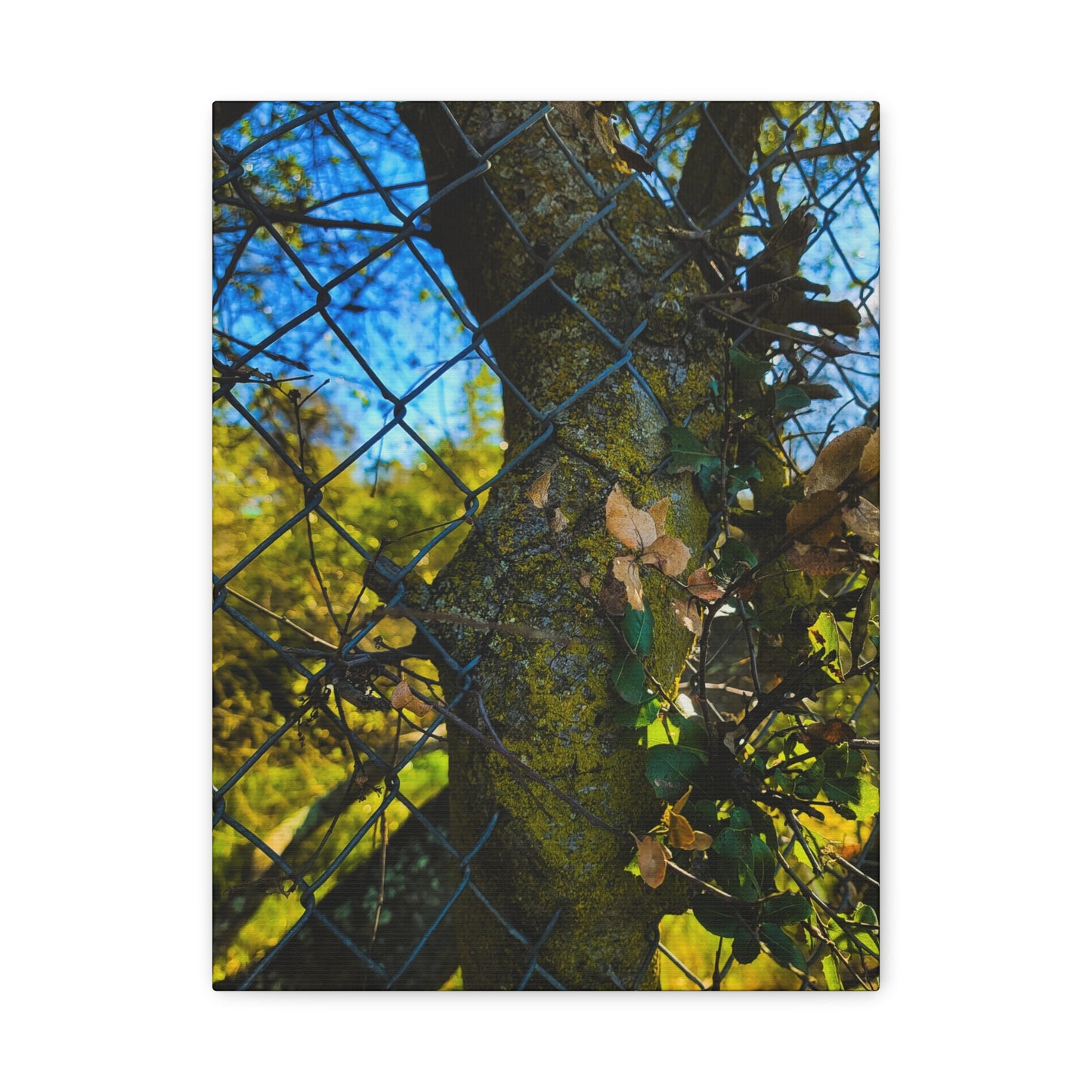 Nature-Inspired Canvas Art, Botanical Wall Decor, Home Aesthetic, Gift for Gardeners, Rustic Art for Living Room, Greenery Home Decor