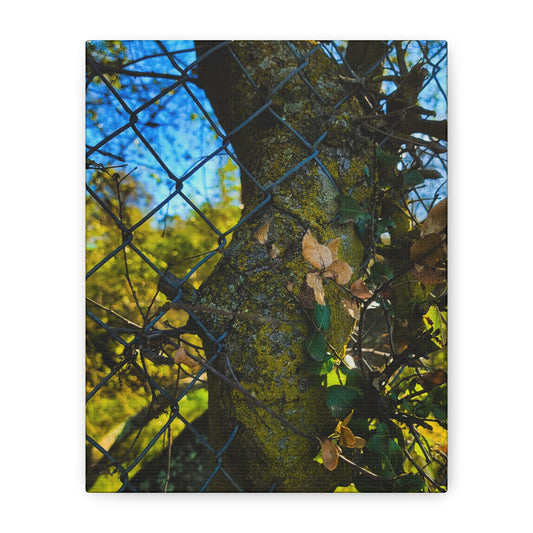 Nature-Inspired Canvas Art, Botanical Wall Decor, Home Aesthetic, Gift for Gardeners, Rustic Art for Living Room, Greenery Home Decor