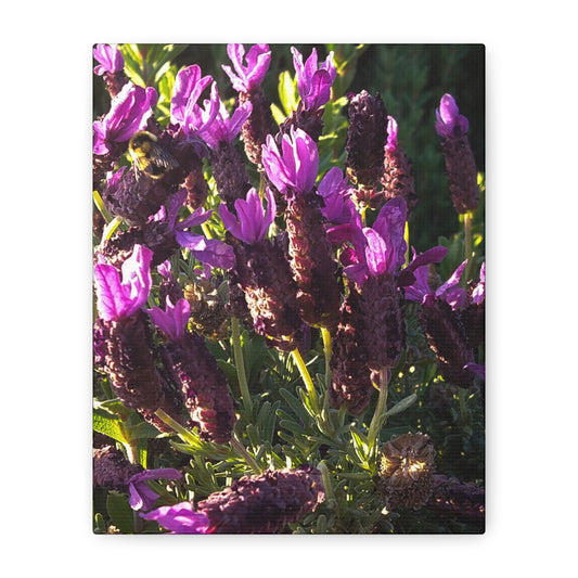 Purple Floral Canvas Wall Art, Botanical Decor, Nature Art, Home Decoration, Gift for Nature Lovers