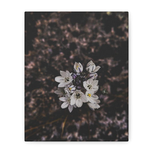 Floral Canvas Print, Wall Art, Boho Home Decor, Perfect Gift for Nature Lovers, Mother's Day, Home Gallery