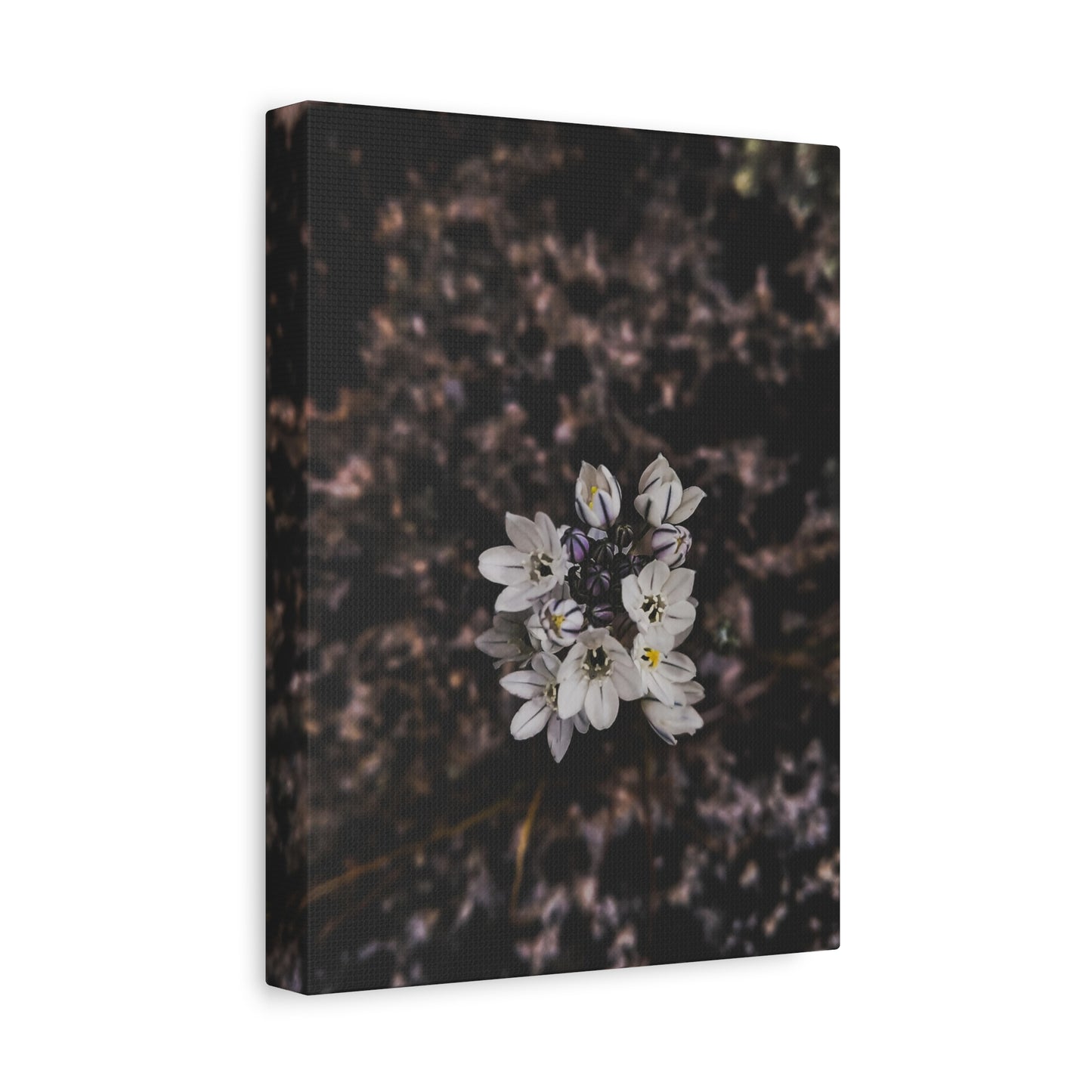 Floral Canvas Print, Wall Art, Boho Home Decor, Perfect Gift for Nature Lovers, Mother's Day, Home Gallery